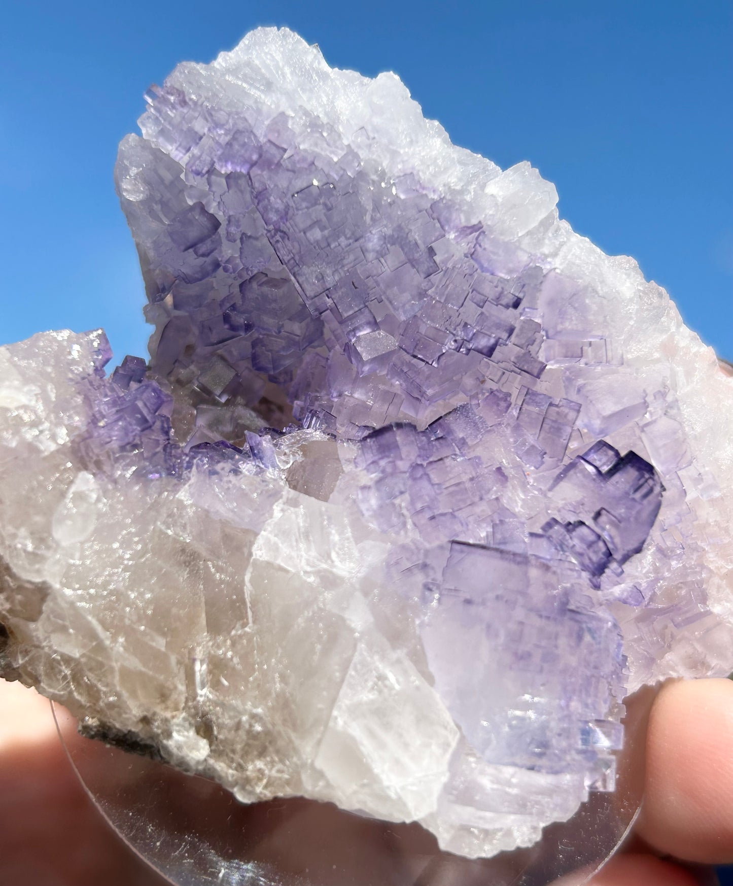 #8 Tule Purple Step Fluorite From Tule Mine, Melchor Múzquiz, Múzquiz Municipality, Coahuila, México 🇲🇽