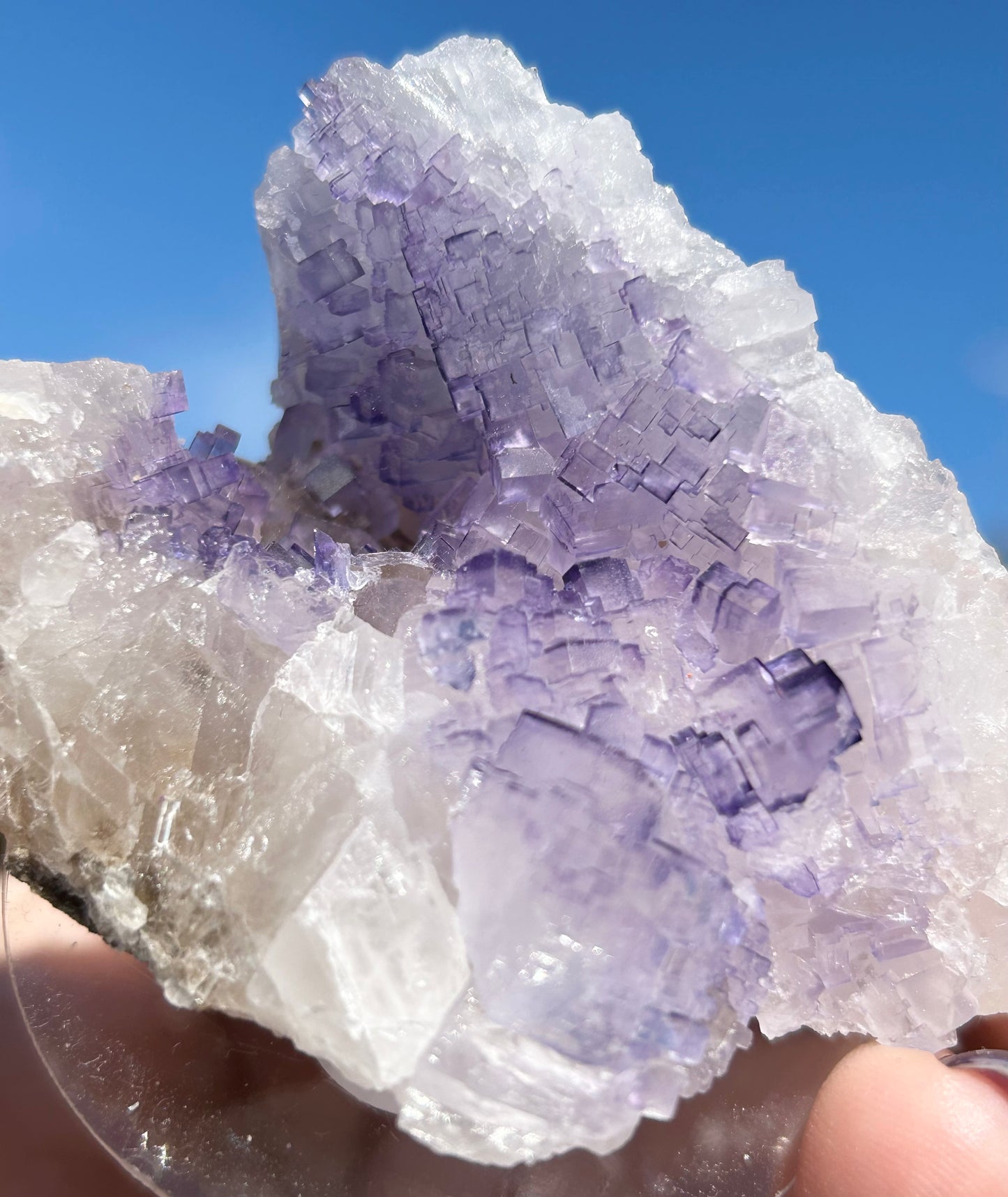 #8 Tule Purple Step Fluorite From Tule Mine, Melchor Múzquiz, Múzquiz Municipality, Coahuila, México 🇲🇽