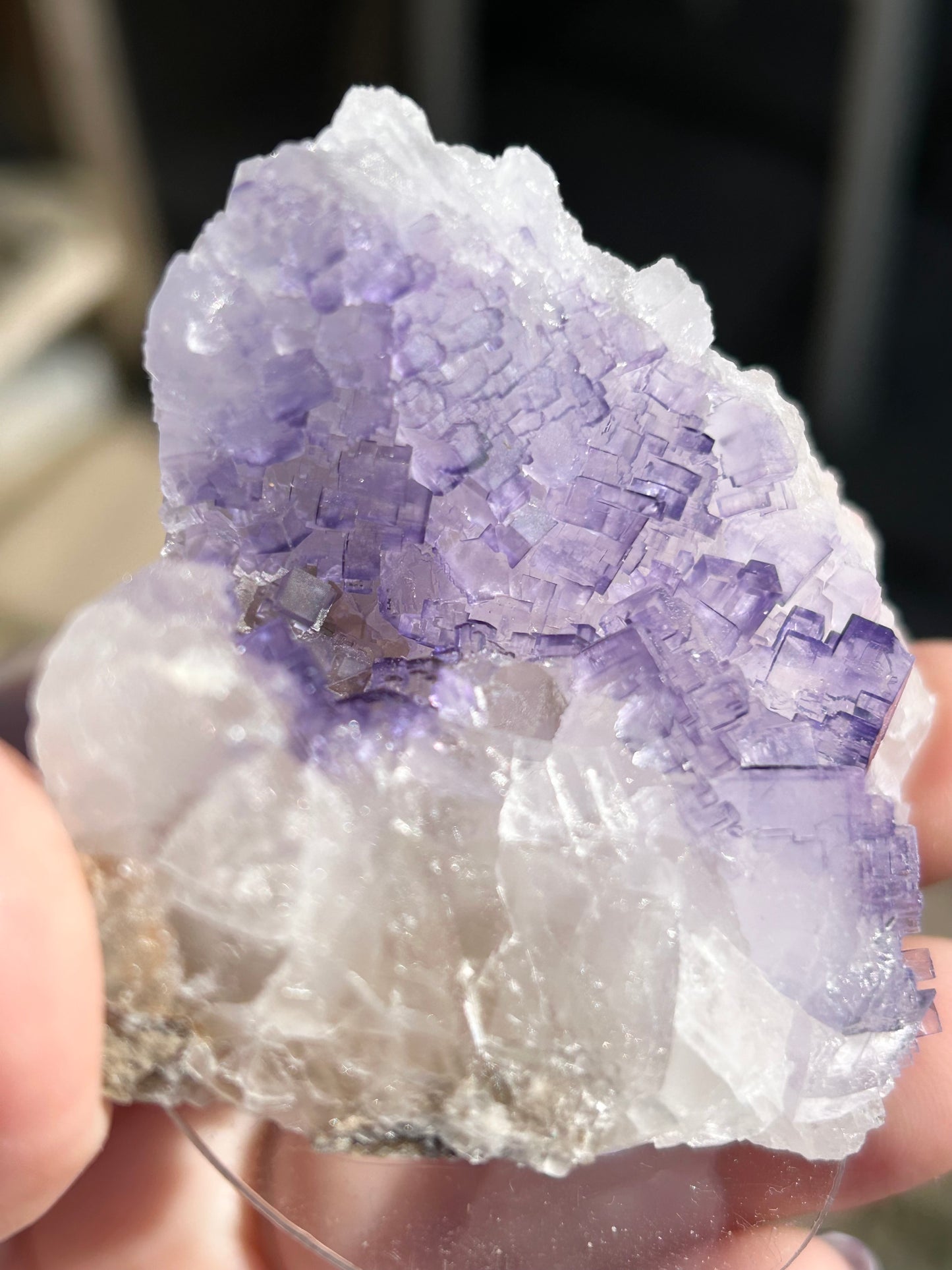 #8 Tule Purple Step Fluorite From Tule Mine, Melchor Múzquiz, Múzquiz Municipality, Coahuila, México 🇲🇽