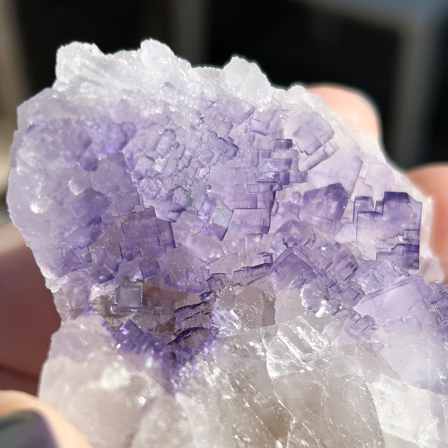 #8 Tule Purple Step Fluorite From Tule Mine, Melchor Múzquiz, Múzquiz Municipality, Coahuila, México 🇲🇽