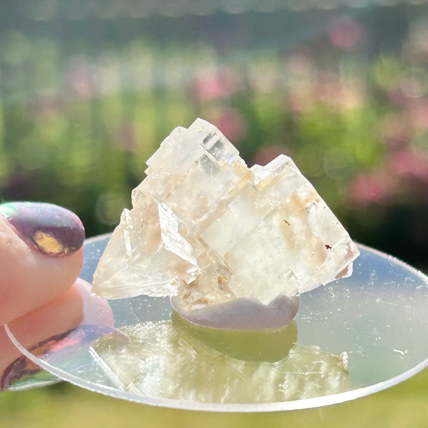 Rare Clear Fluorite Specimen From Fluorite Mine, Praclos, Tailhac, Brioude, Haute-Loire, Auvergne-Rhône-Alpes, France 🇫🇷