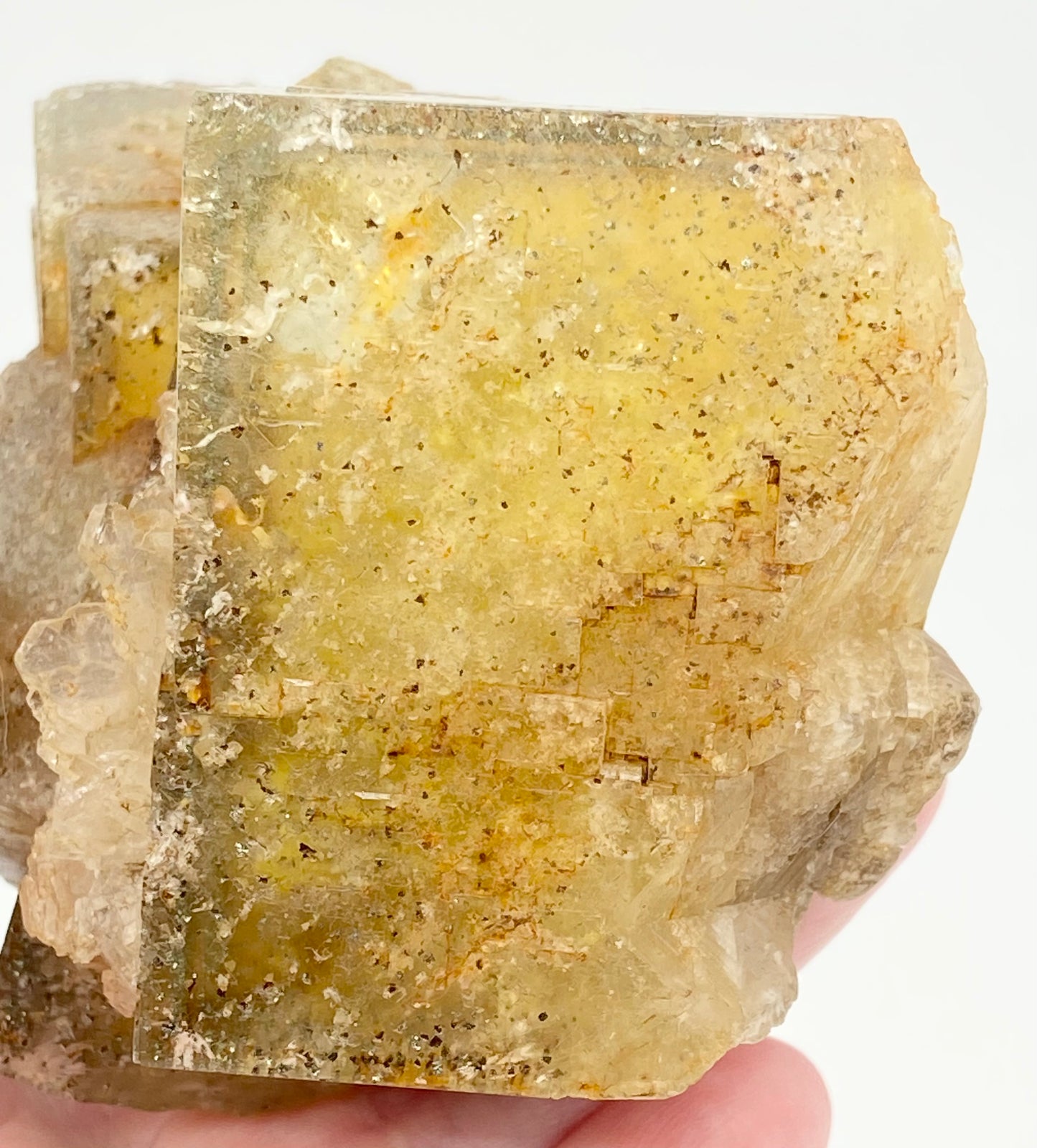 #2 Wet Groves Yellow Fluorite With Micro Chalcopyrite & Galena Inclusions High Quality XL Specimen From Wet Groves Mine, Richmondshire, North Yorkshire, U.K. 🇬🇧