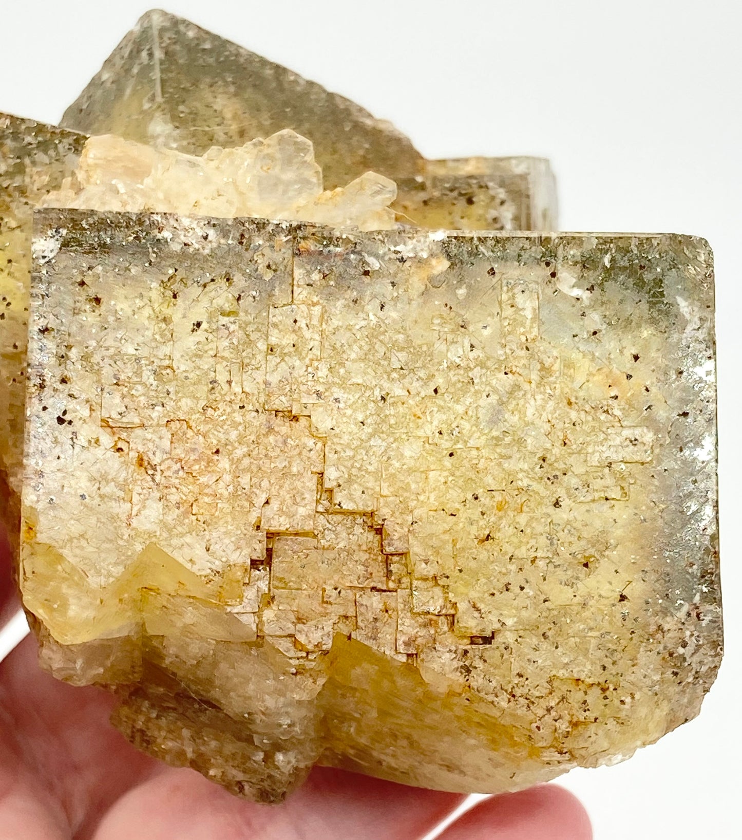 #2 Wet Groves Yellow Fluorite With Micro Chalcopyrite & Galena Inclusions High Quality XL Specimen From Wet Groves Mine, Richmondshire, North Yorkshire, U.K. 🇬🇧