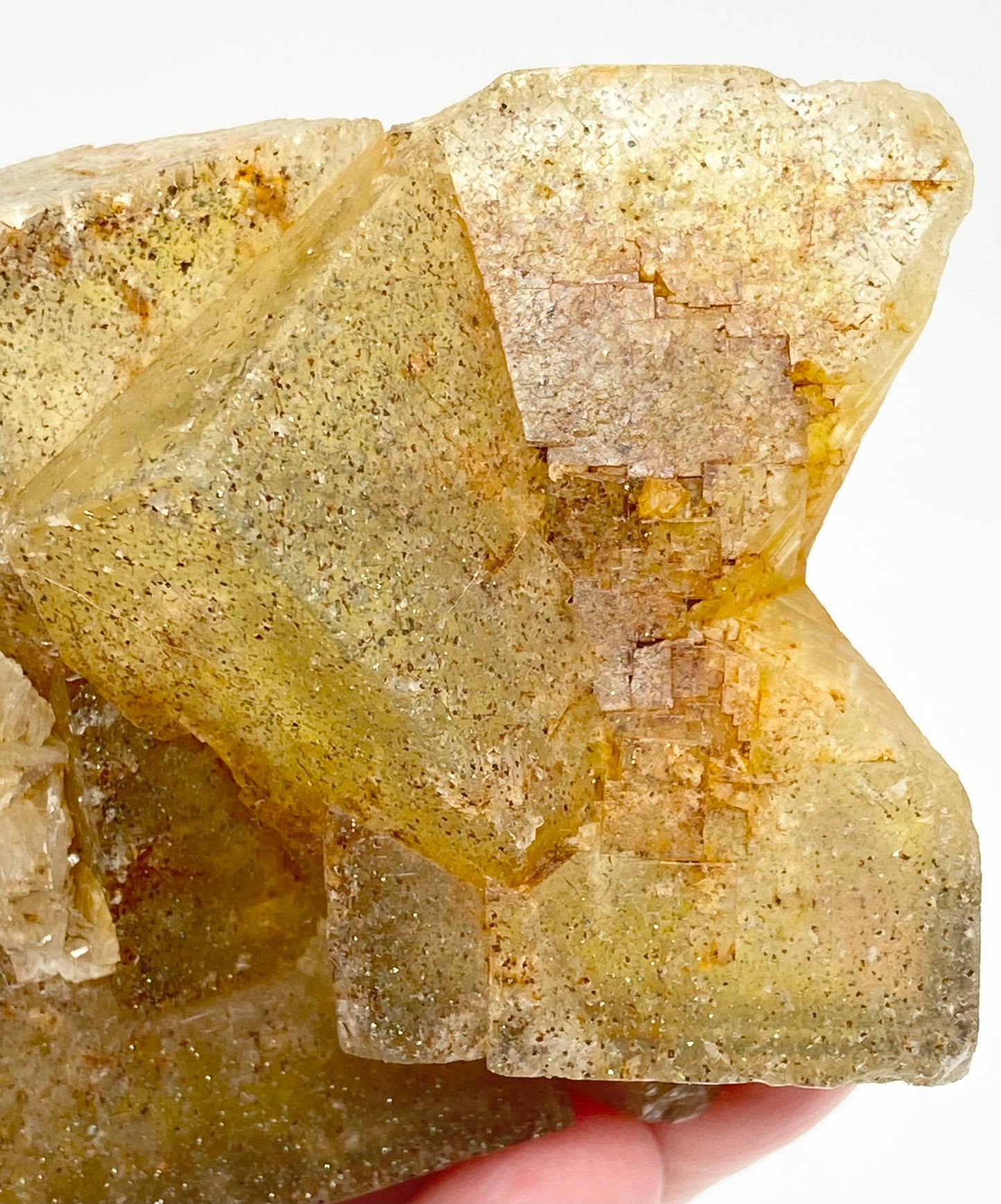 #2 Wet Groves Yellow Fluorite With Micro Chalcopyrite & Galena Inclusions High Quality XL Specimen From Wet Groves Mine, Richmondshire, North Yorkshire, U.K. 🇬🇧