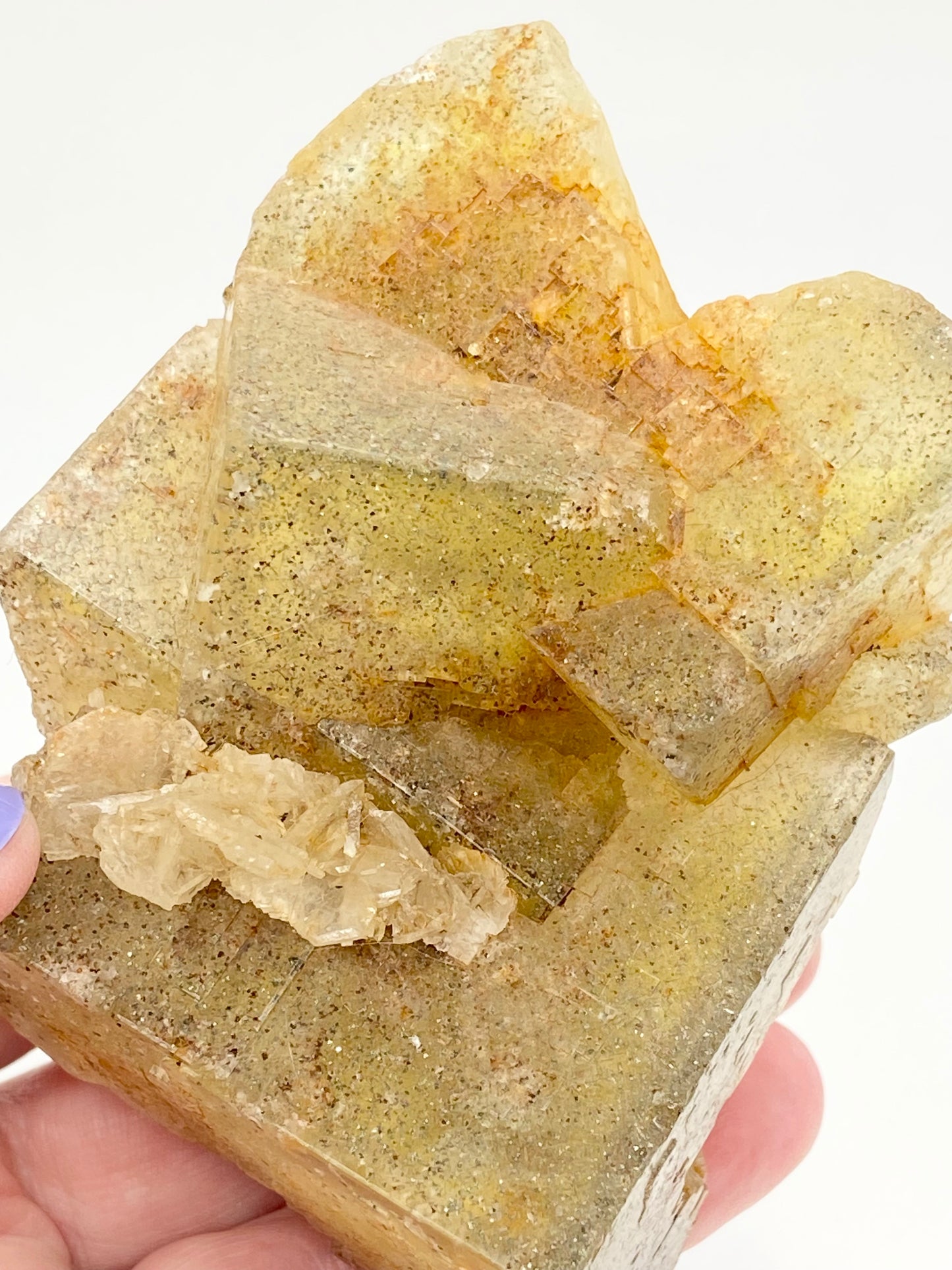 #2 Wet Groves Yellow Fluorite With Micro Chalcopyrite & Galena Inclusions High Quality XL Specimen From Wet Groves Mine, Richmondshire, North Yorkshire, U.K. 🇬🇧