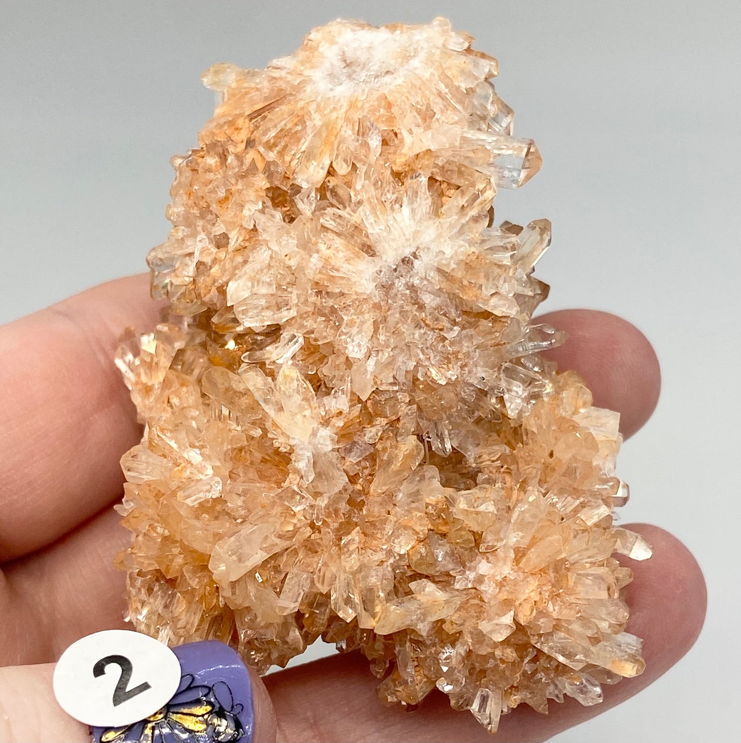 #2 Rare Orange Creedite With White Fluorite Medium Specimen In Case From Mexico 🇲🇽 Mined 2013