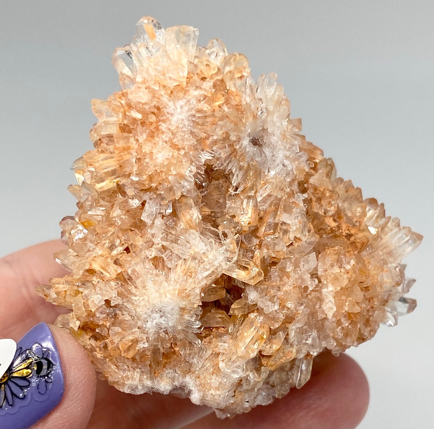 #2 Rare Orange Creedite With White Fluorite Medium Specimen In Case From Mexico 🇲🇽 Mined 2013