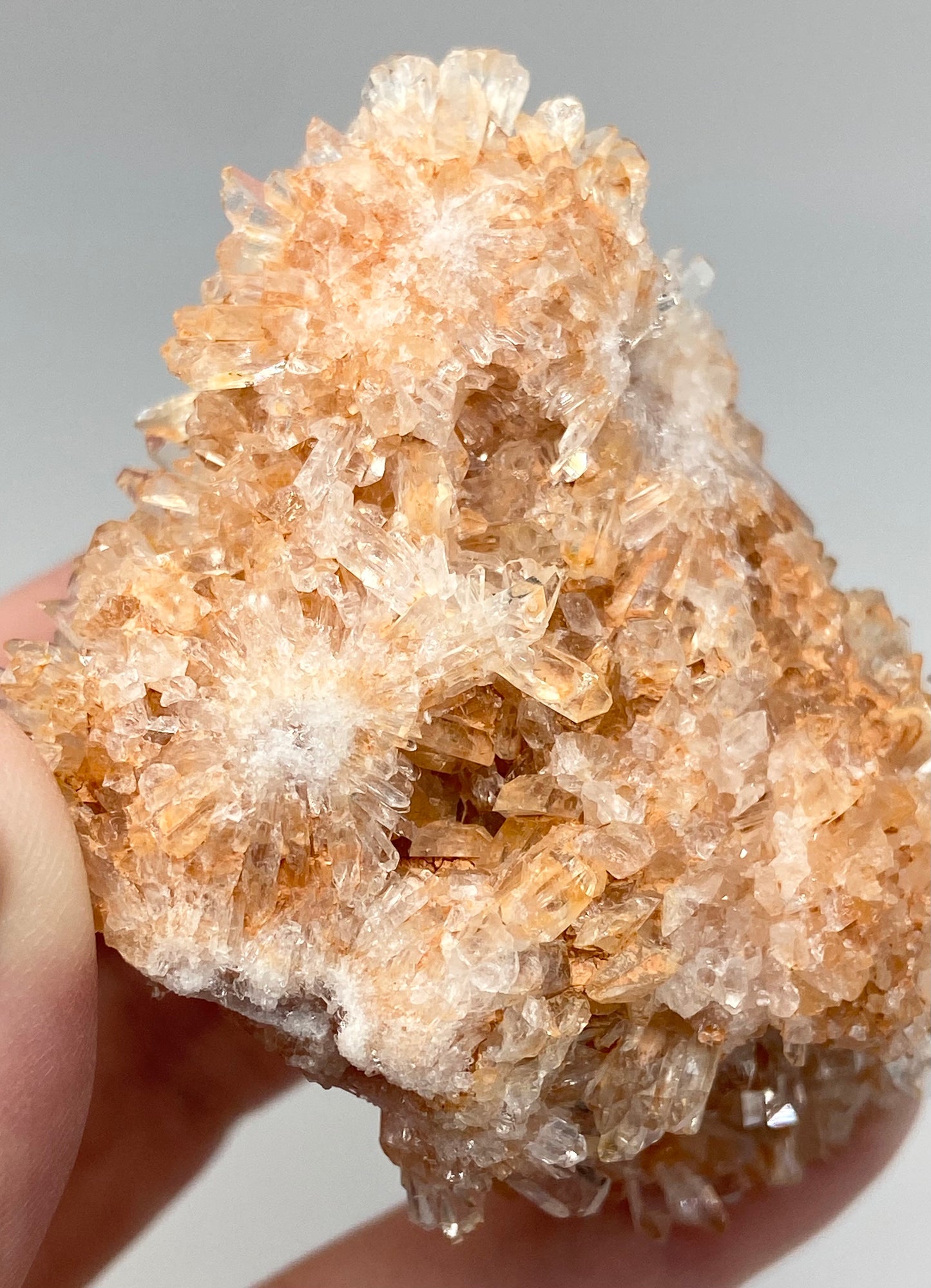 #2 Rare Orange Creedite With White Fluorite Medium Specimen In Case From Mexico 🇲🇽 Mined 2013