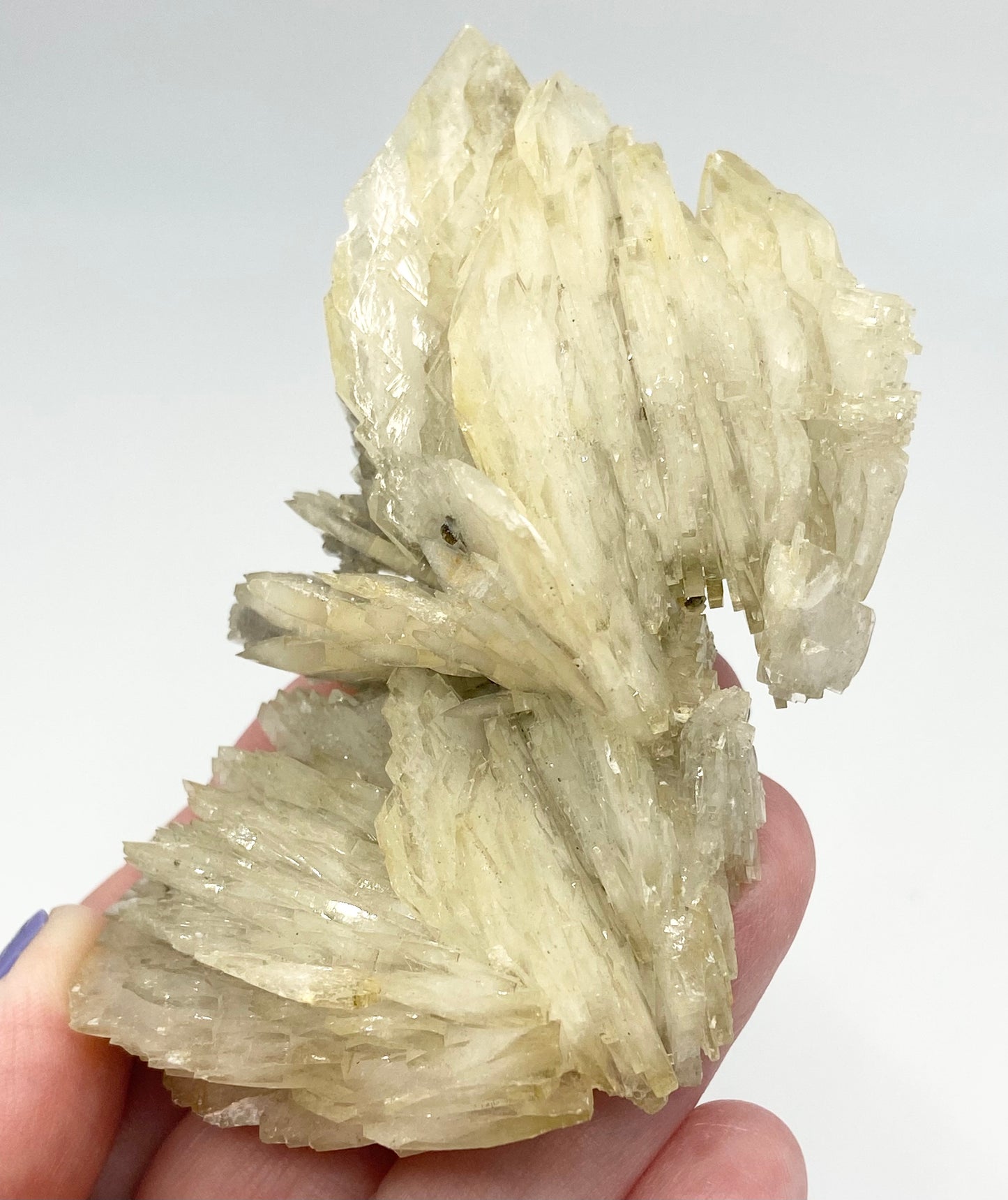 #5 Rare Yellow & Blue Barite With Quartz & Chalcopyrite Sugar High Quality Large Specimen From Morocco 🇲🇦