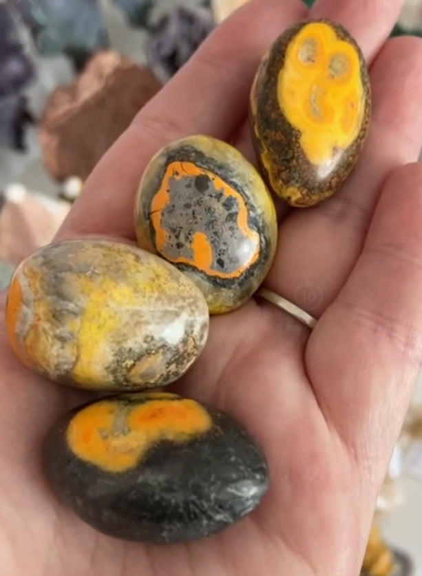 Rare Orbicular Bumblebee Jasper Tumbles From Mount Papandayan, West Java, Indonesia 🇮🇩