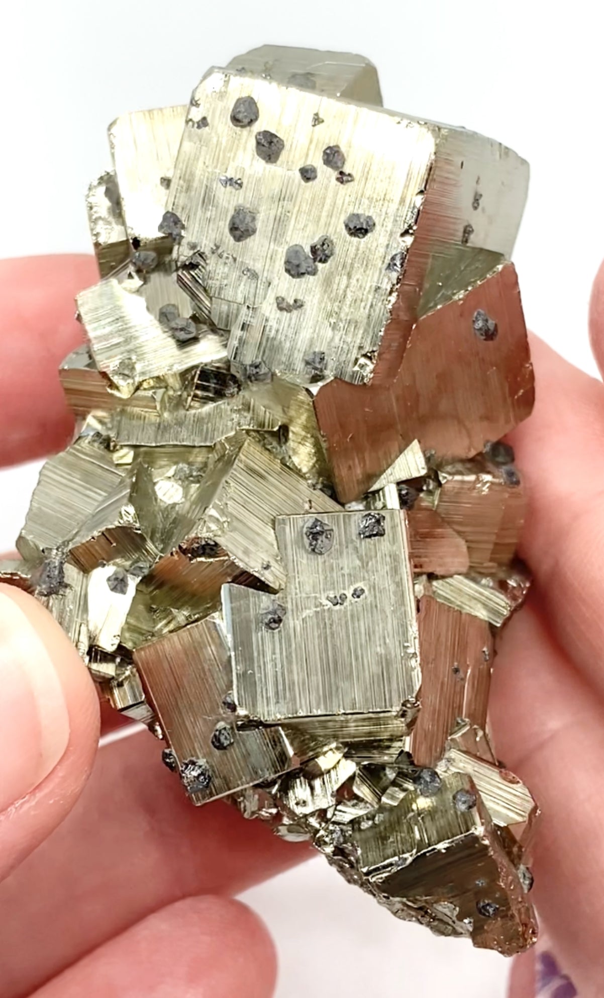 #2 Peruvian 🇵🇪 Pyrite & Sphalerite Medium Specimen From Peru 🇵🇪