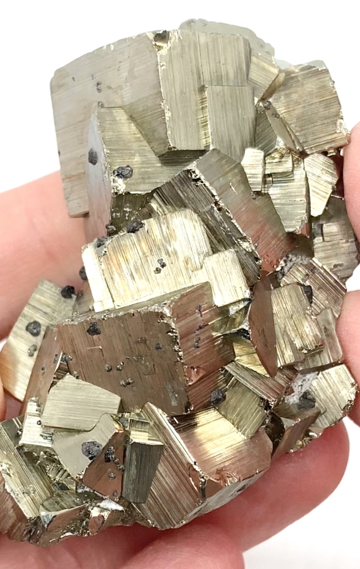 #2 Peruvian 🇵🇪 Pyrite & Sphalerite Medium Specimen From Peru 🇵🇪