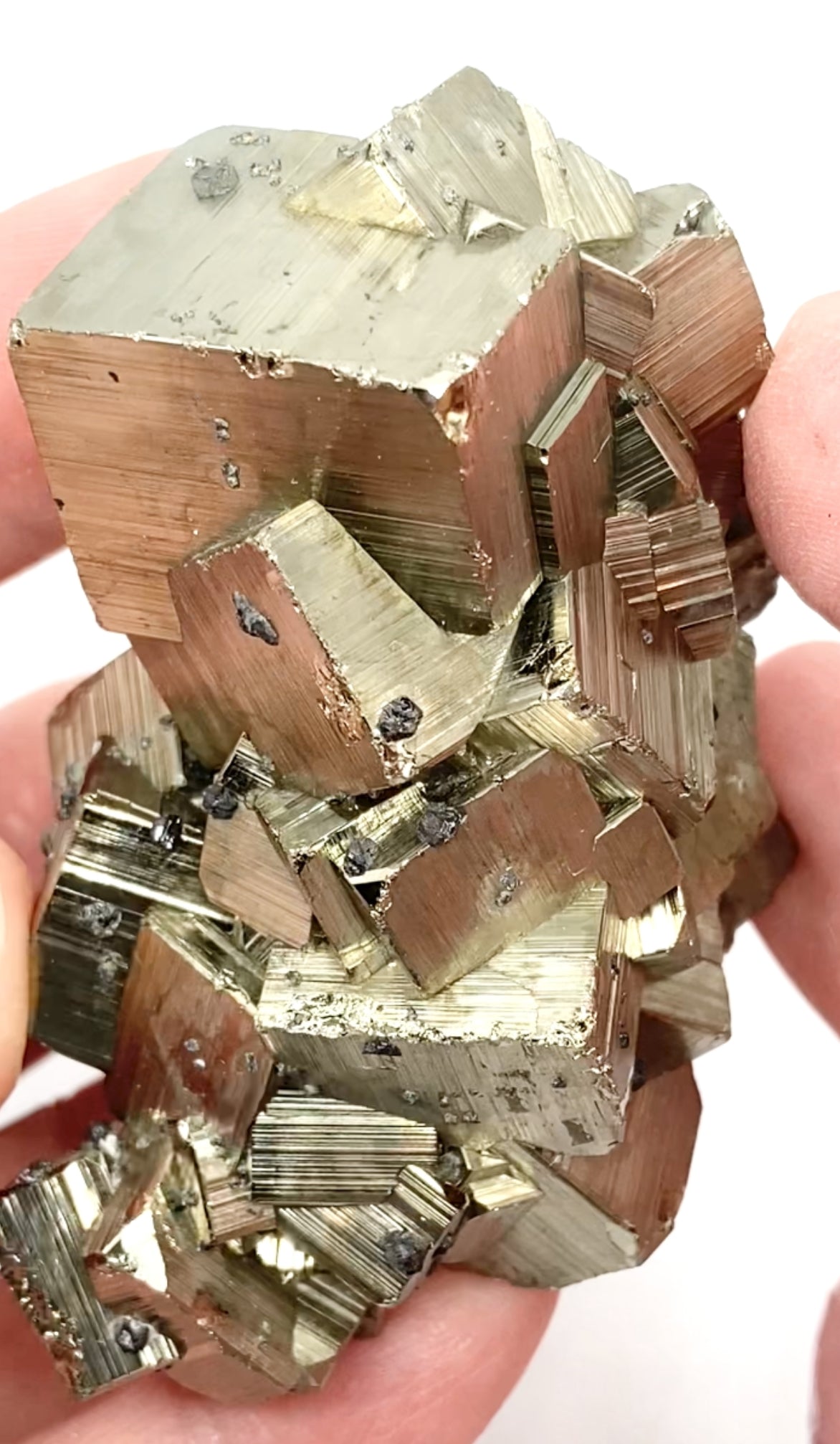 #2 Peruvian 🇵🇪 Pyrite & Sphalerite Medium Specimen From Peru 🇵🇪