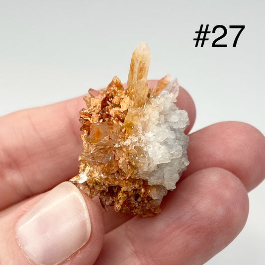 #27 Rare Orange Creedite With White Fluorite Small Specimen In Case From Mexico 🇲🇽 Mined 2013