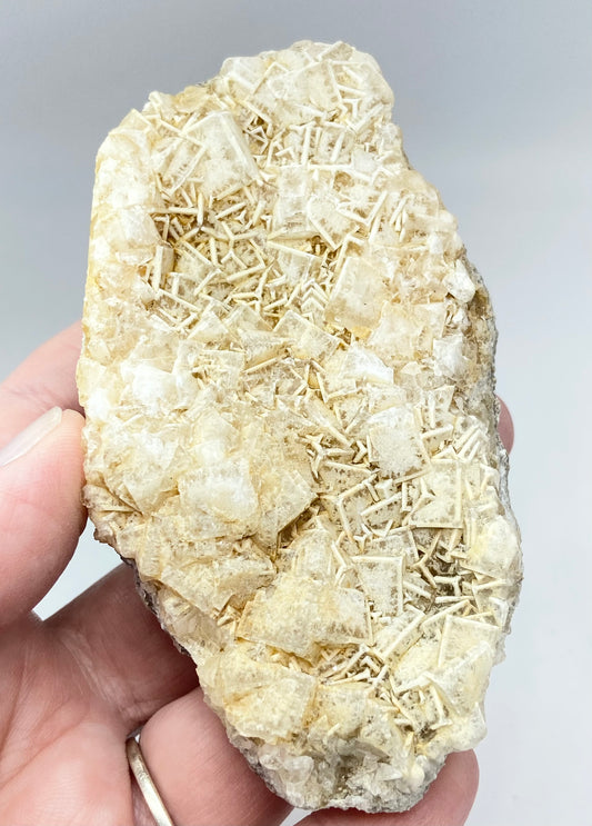 #4 Rare, One Location Derbyshire Cream Edge Fluorite Large Specimen From Pindale Quarry, Castelton, Derbyshire, U.K. 🇬🇧 (Independently ⛏️ Mined)