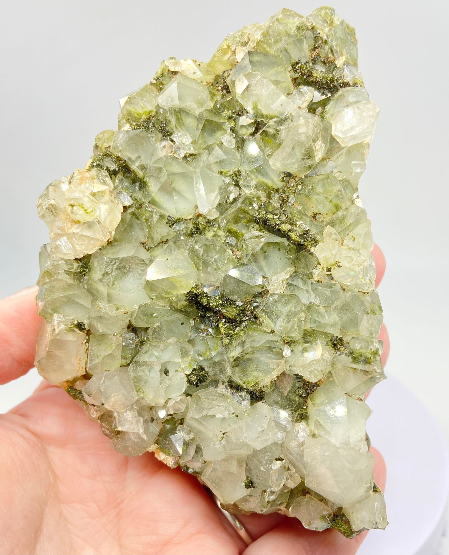 Turkish Fairy Forest Quartz XL #2 - Epidote With Quartz Specimen From Hakkâri Province, Turkey 🇹🇷