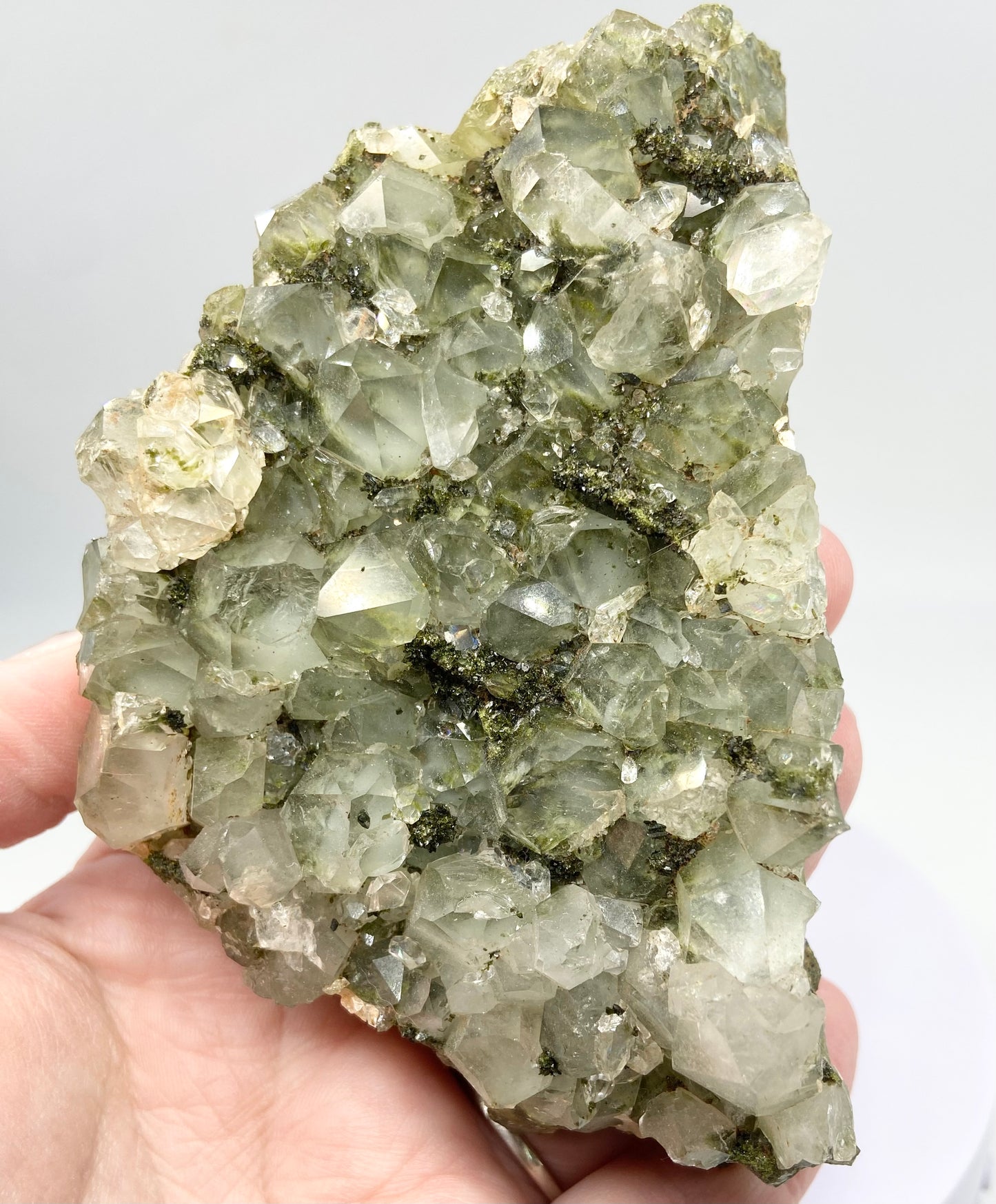 Turkish Fairy Forest Quartz XL #2 - Epidote With Quartz Specimen From Hakkâri Province, Turkey 🇹🇷