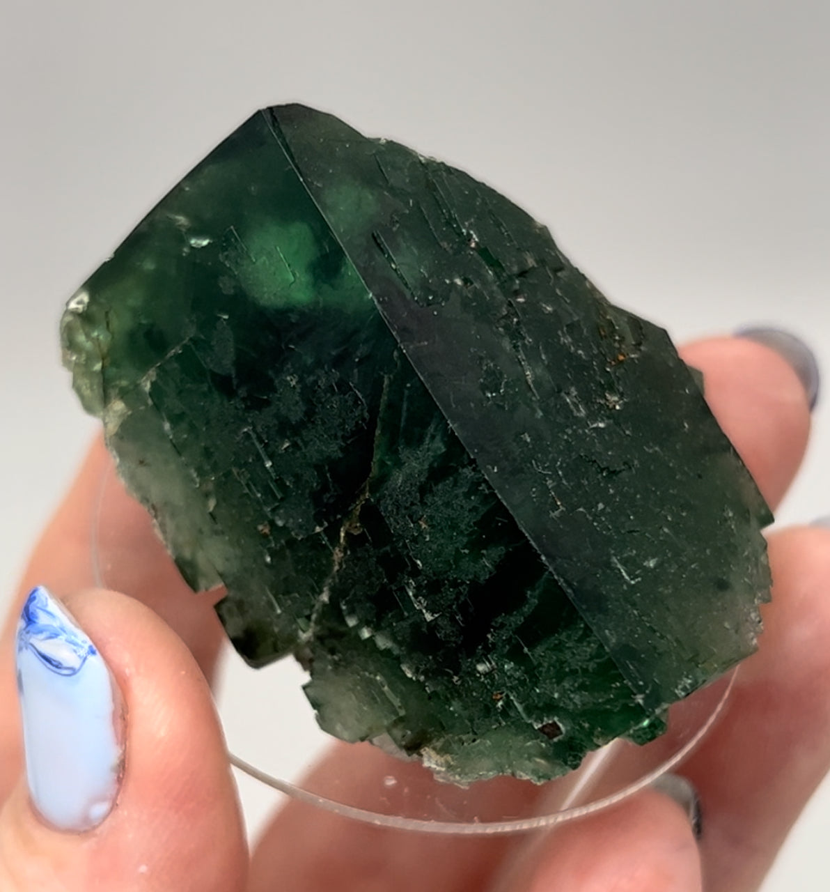 #16 Truffle 🐷 Pig Fluorite Medium Specimen Sutcliffe Vein, Diana Maria Mine, Weardale, U.K. 🇬🇧