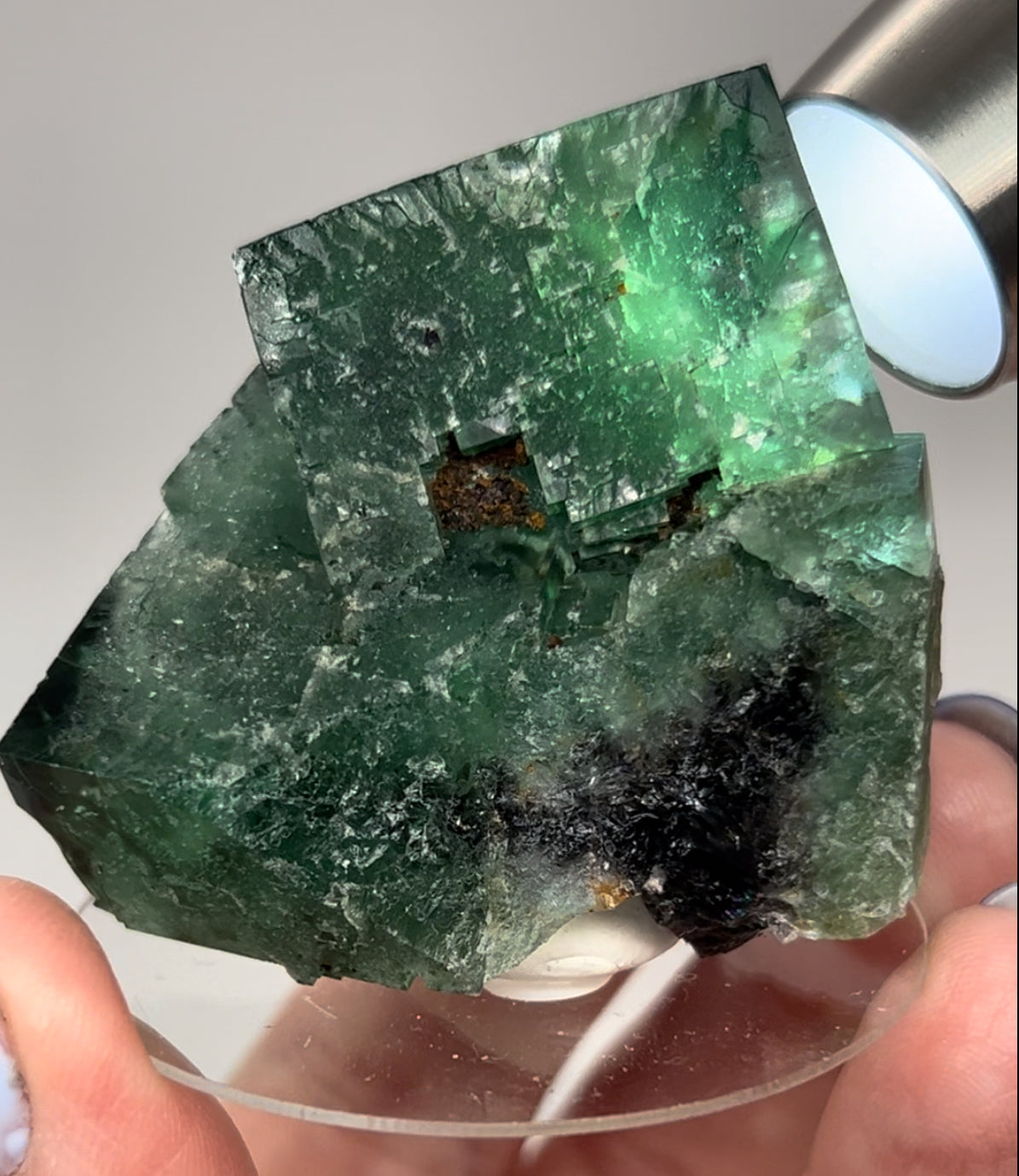 #15 Truffle 🐷 Pig Fluorite Medium Specimen Sutcliffe Vein, Diana Maria Mine, Weardale, U.K. 🇬🇧