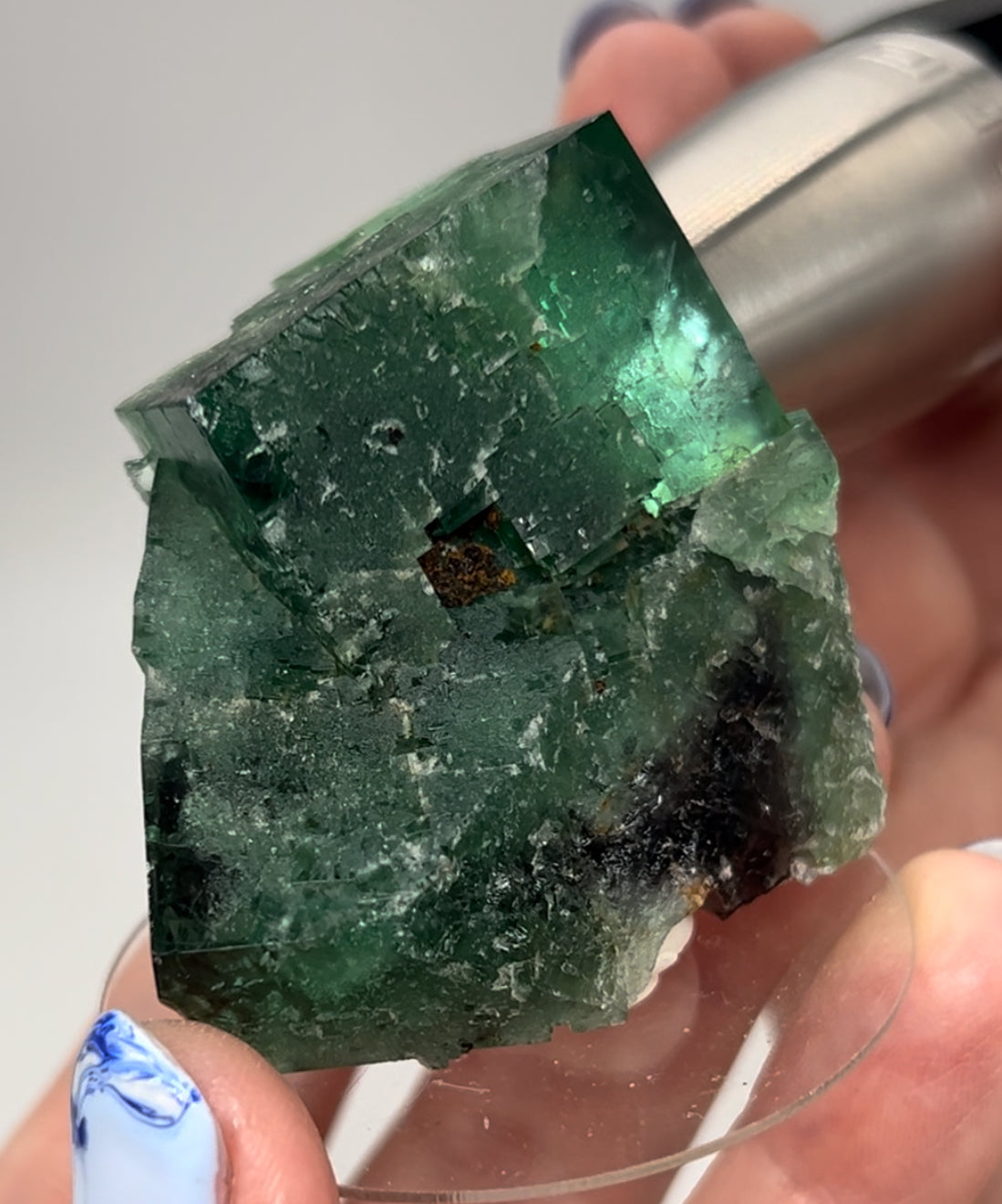 #15 Truffle 🐷 Pig Fluorite Medium Specimen Sutcliffe Vein, Diana Maria Mine, Weardale, U.K. 🇬🇧