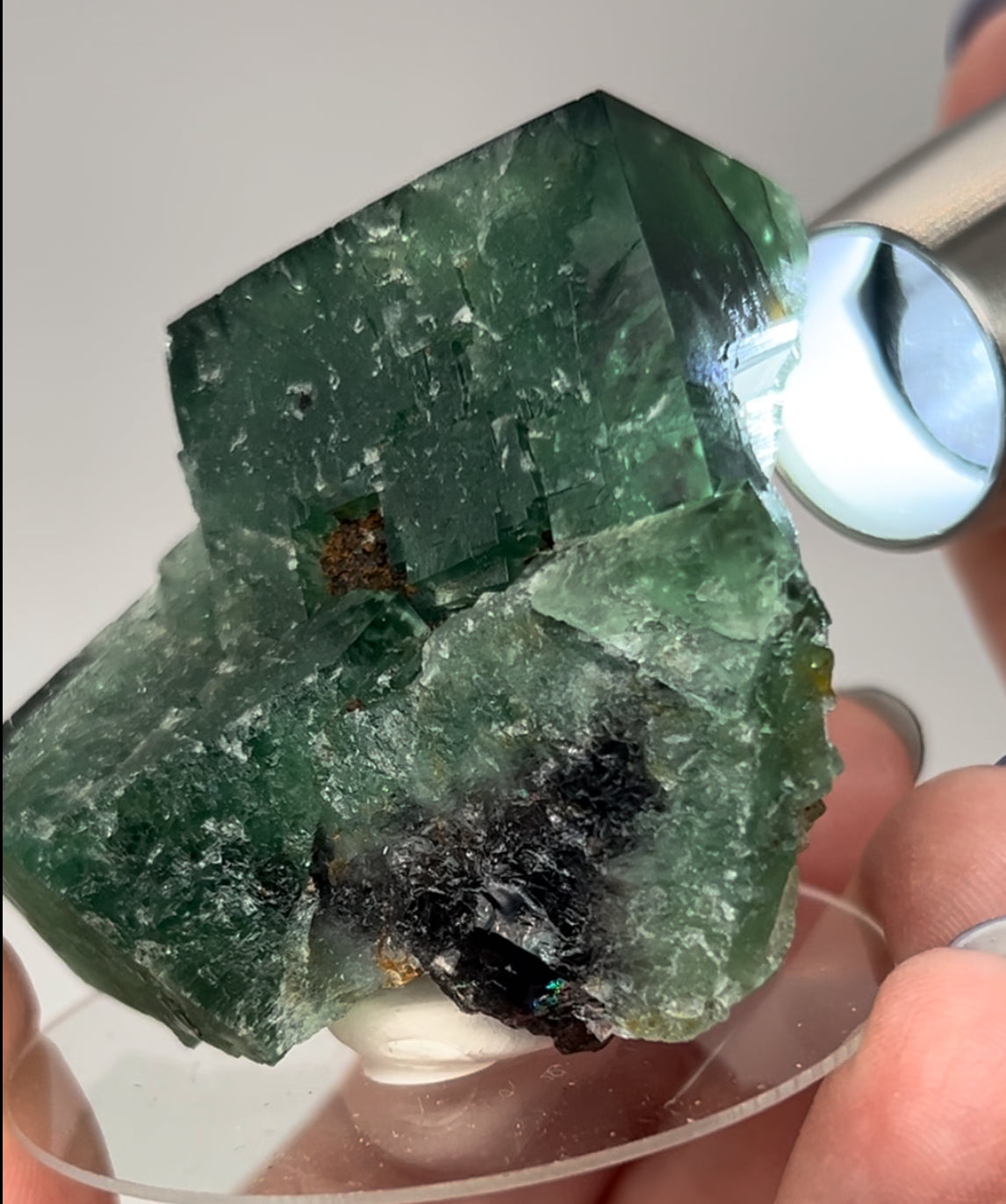 #15 Truffle 🐷 Pig Fluorite Medium Specimen Sutcliffe Vein, Diana Maria Mine, Weardale, U.K. 🇬🇧