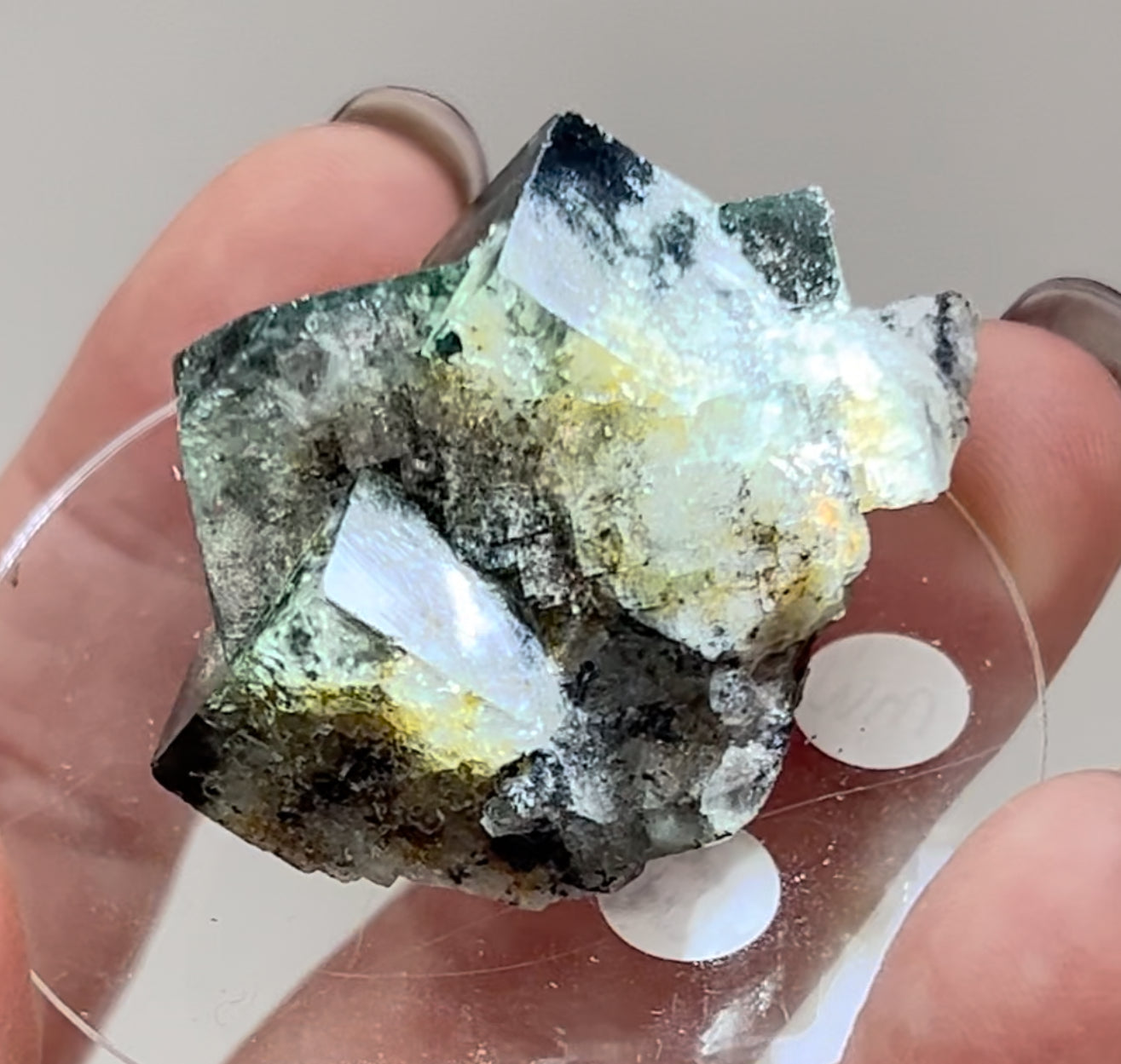 #7 Raw Milky Way Blue Fluorite Small Specimen From Sutcliffe Vein at the Diana Maria Mine, U.K. 🇬🇧