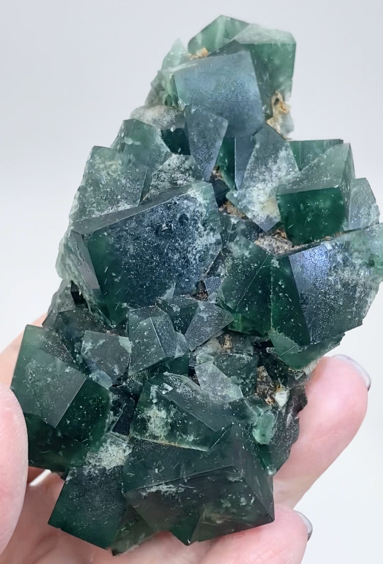 XL Greedy Hog Colour Change Green Fluorite From The Greedy Hog Pocket, Diana Maria Mine, Weardale, County Durham, U.K. 🇬🇧 Top Quality