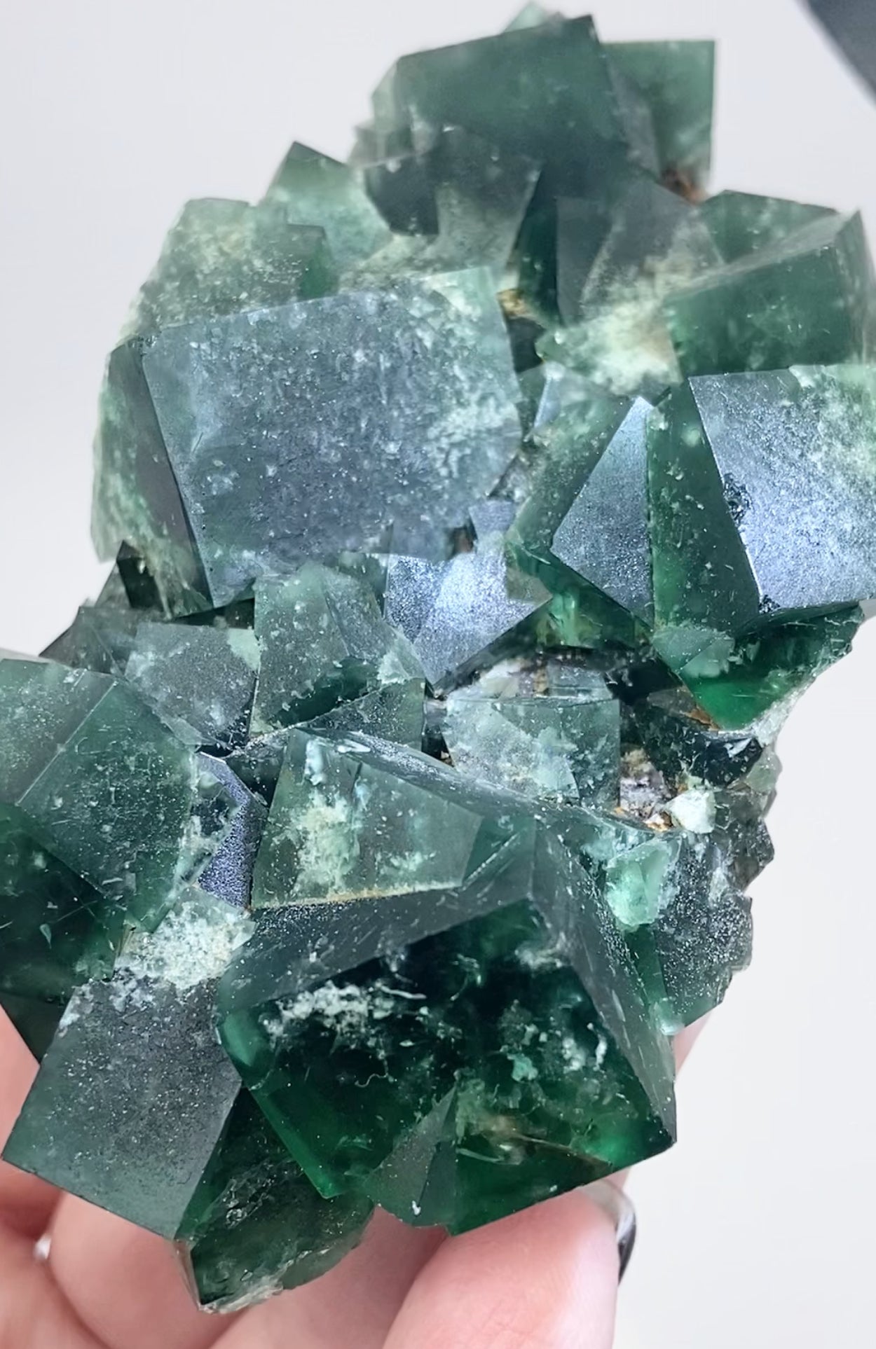 XL Greedy Hog Colour Change Green Fluorite From The Greedy Hog Pocket, Diana Maria Mine, Weardale, County Durham, U.K. 🇬🇧 Top Quality