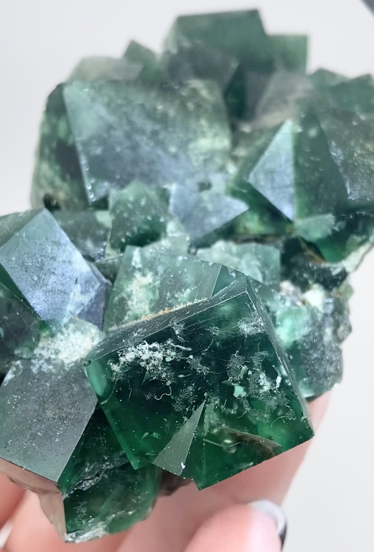 XL Greedy Hog Colour Change Green Fluorite From The Greedy Hog Pocket, Diana Maria Mine, Weardale, County Durham, U.K. 🇬🇧 Top Quality