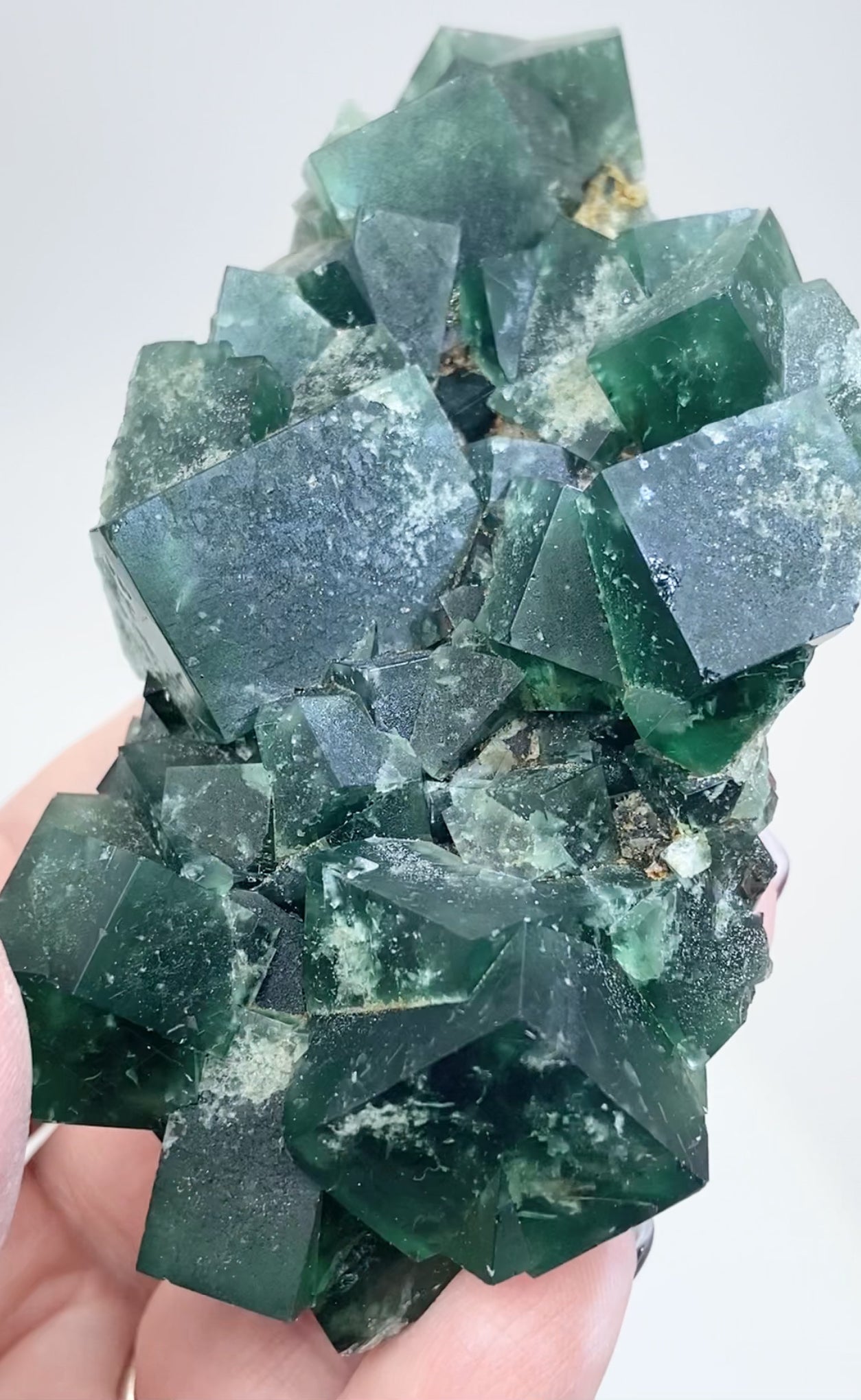 XL Greedy Hog Colour Change Green Fluorite From The Greedy Hog Pocket, Diana Maria Mine, Weardale, County Durham, U.K. 🇬🇧 Top Quality