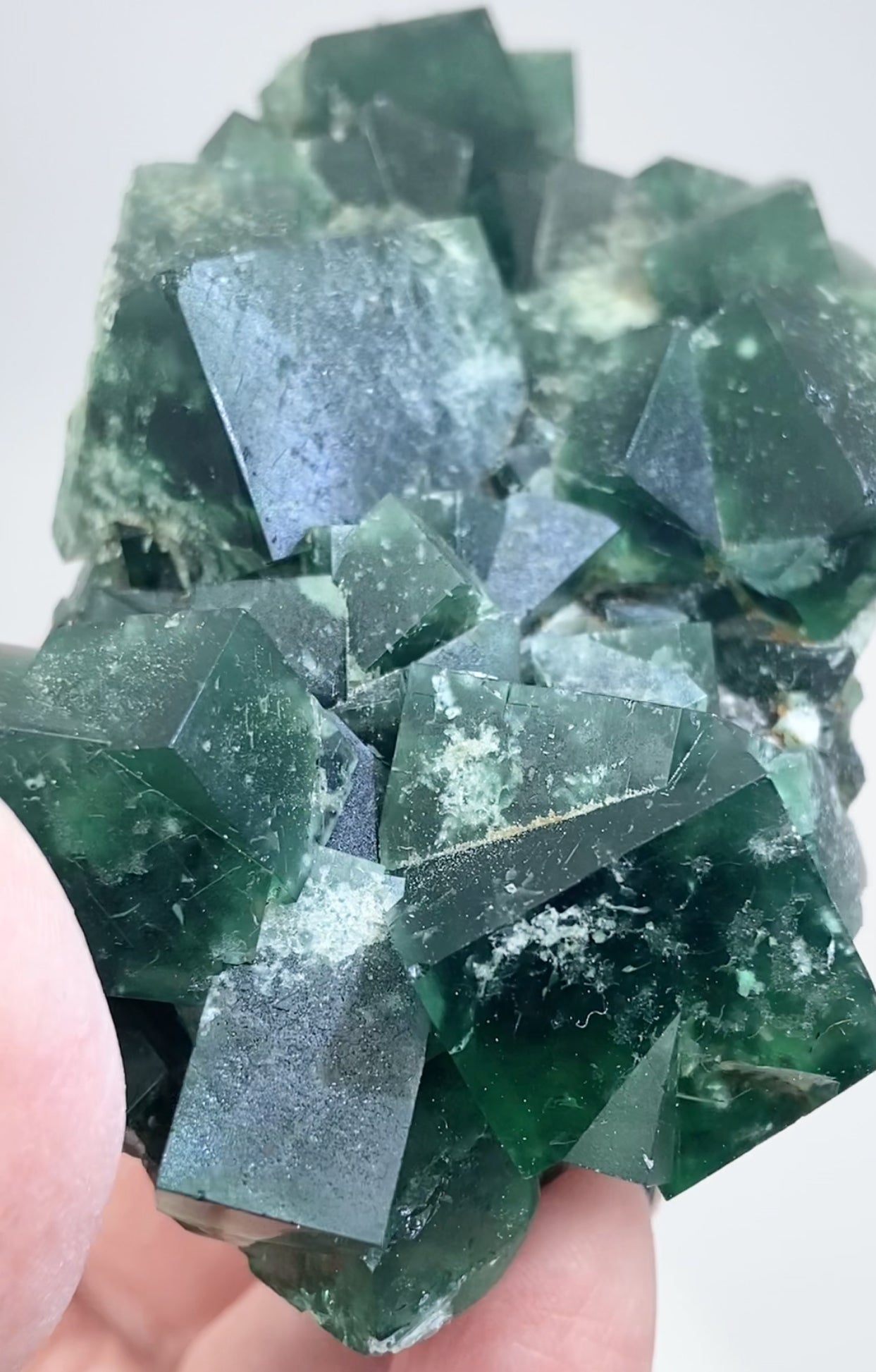 XL Greedy Hog Colour Change Green Fluorite From The Greedy Hog Pocket, Diana Maria Mine, Weardale, County Durham, U.K. 🇬🇧 Top Quality