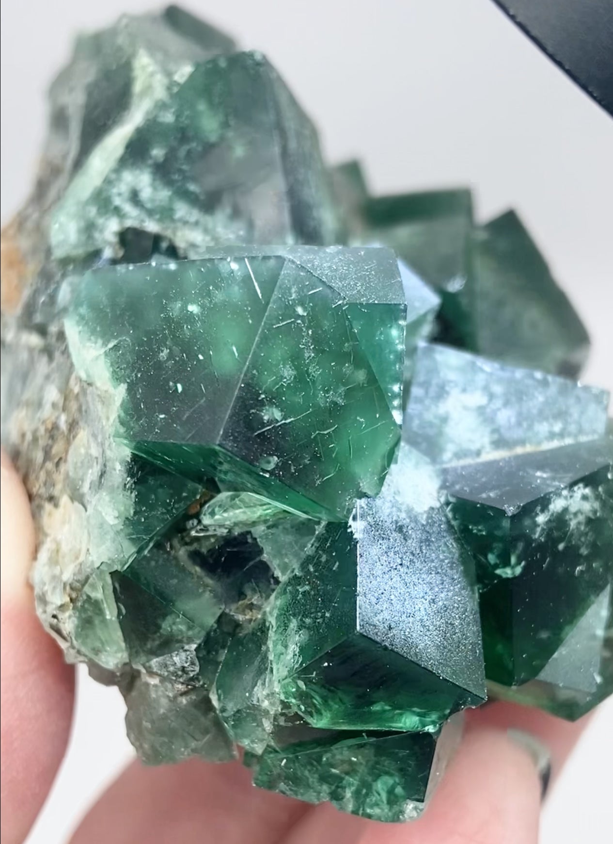 XL Greedy Hog Colour Change Green Fluorite From The Greedy Hog Pocket, Diana Maria Mine, Weardale, County Durham, U.K. 🇬🇧 Top Quality