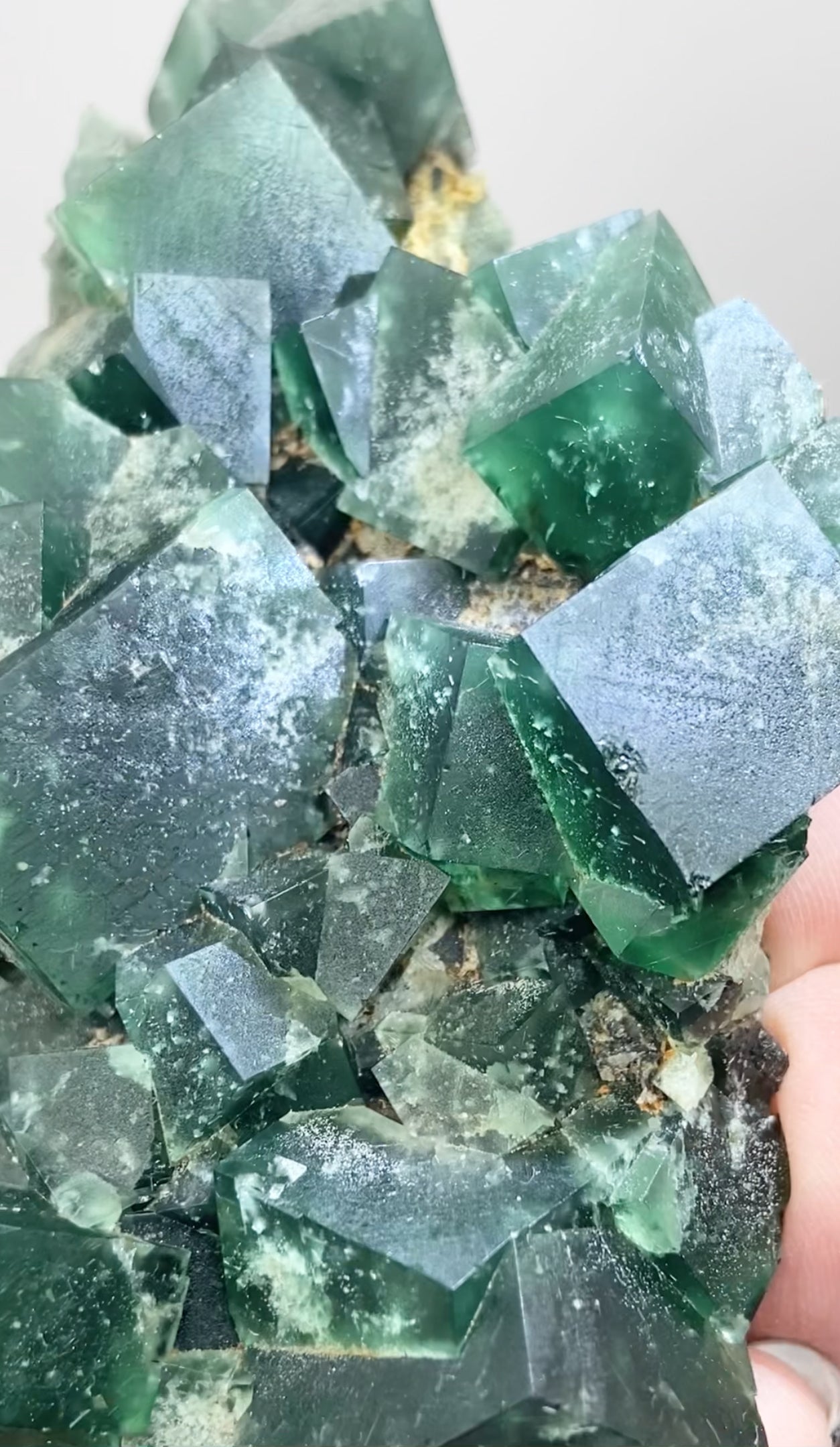 XL Greedy Hog Colour Change Green Fluorite From The Greedy Hog Pocket, Diana Maria Mine, Weardale, County Durham, U.K. 🇬🇧 Top Quality