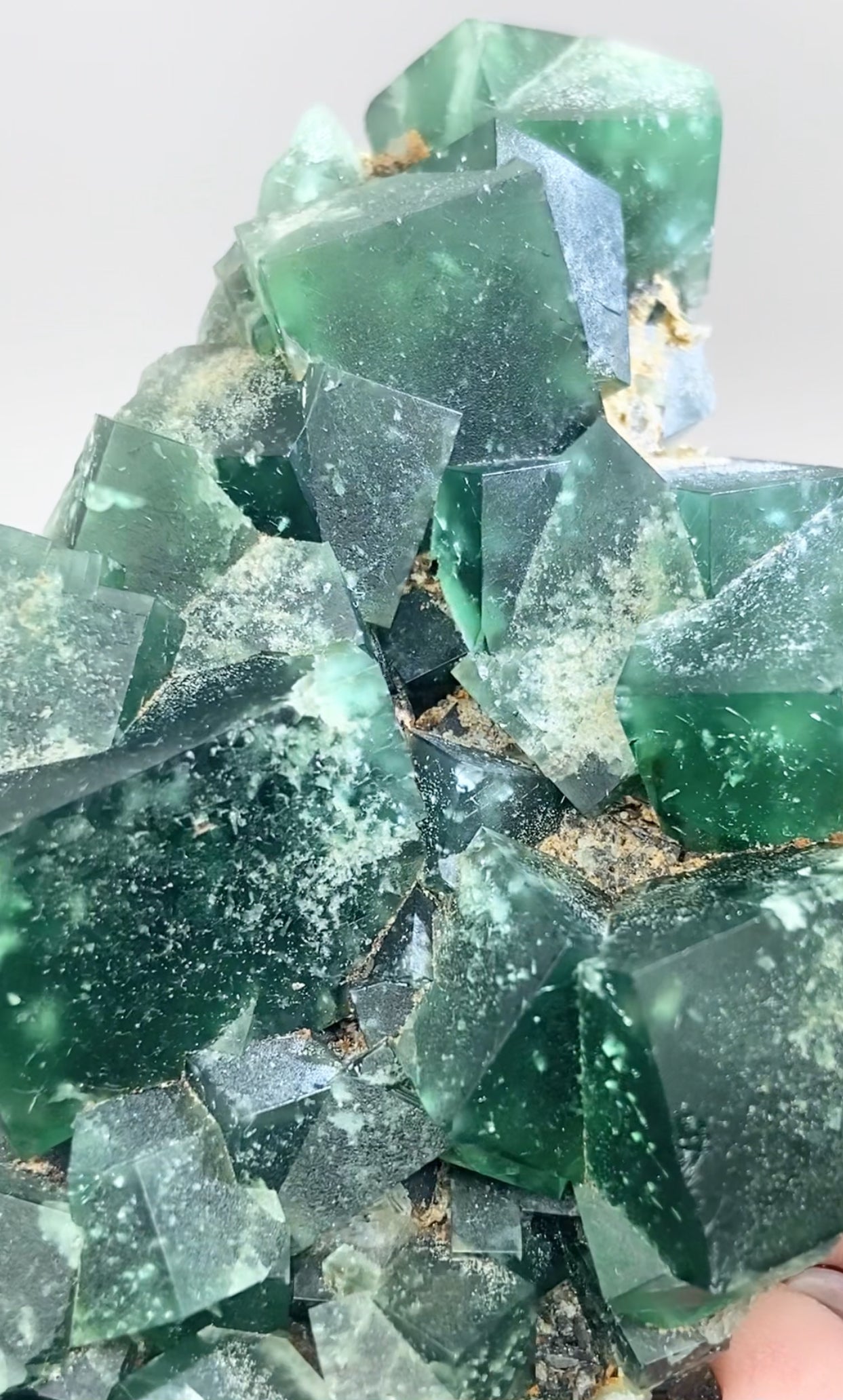 XL Greedy Hog Colour Change Green Fluorite From The Greedy Hog Pocket, Diana Maria Mine, Weardale, County Durham, U.K. 🇬🇧 Top Quality