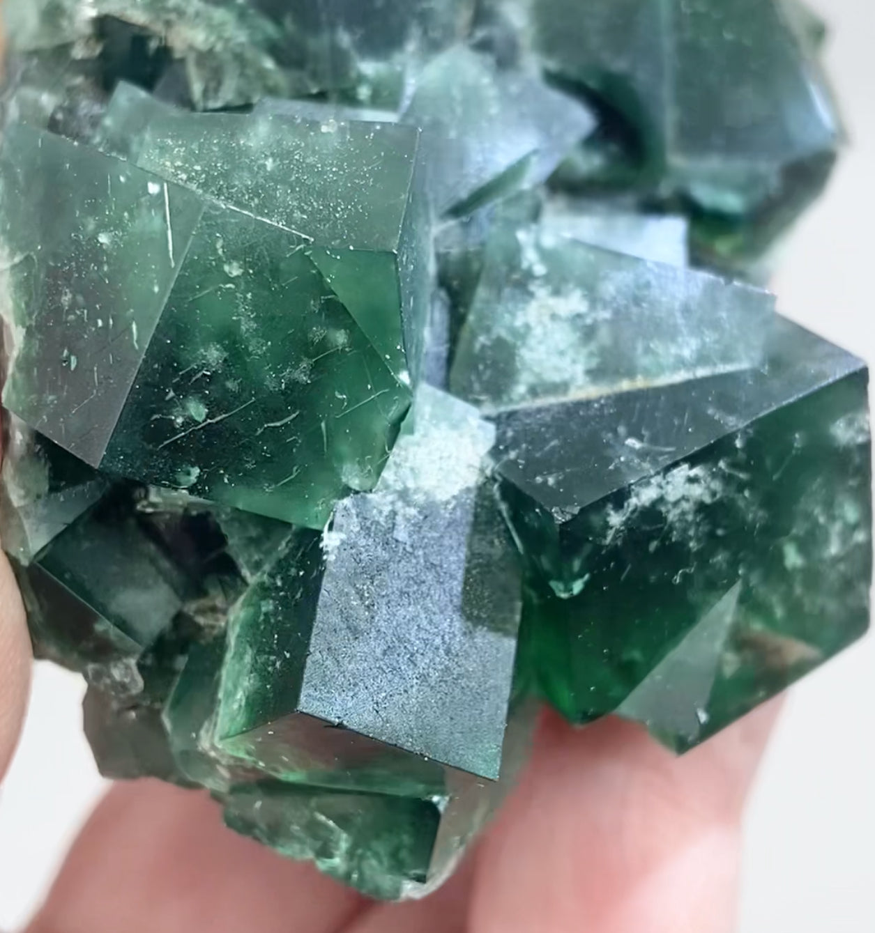 XL Greedy Hog Colour Change Green Fluorite From The Greedy Hog Pocket, Diana Maria Mine, Weardale, County Durham, U.K. 🇬🇧 Top Quality