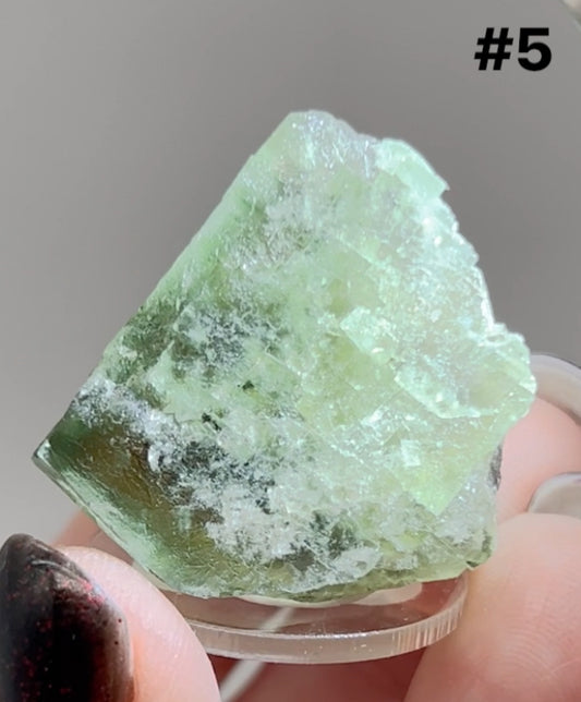 #5 Raw Northern Lights Fluorite Small Specimen From River Catcher Vein, Diana Maria Mine, U.K. 🇬🇧