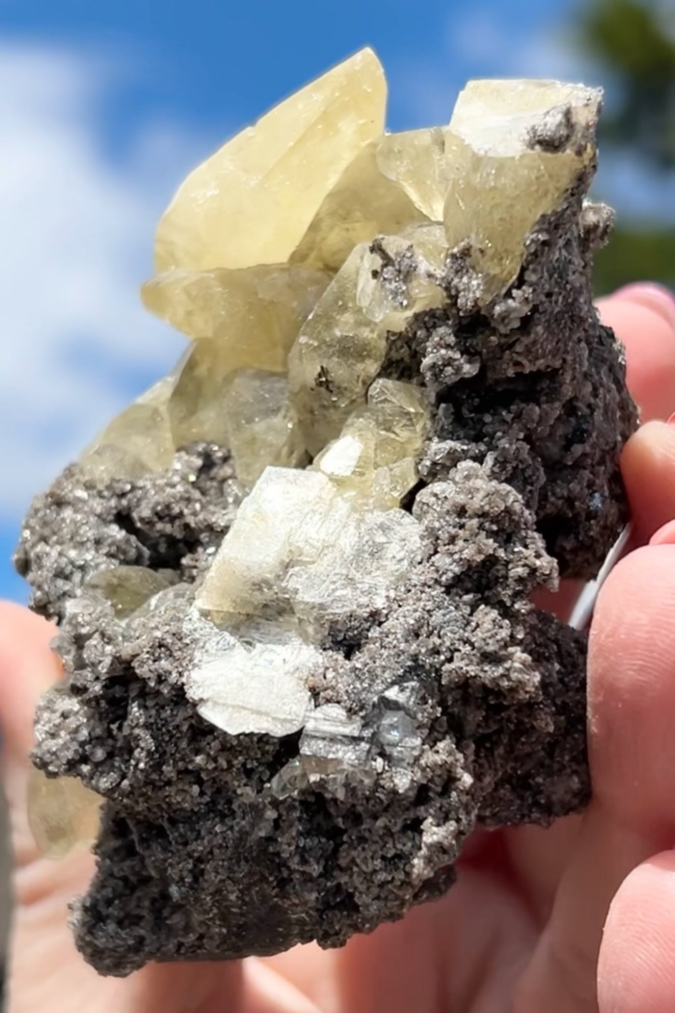 Collectors #11 Sweetwater Yellow Calcite On Marcasite Large From Sweetwater Mine, Reynolds County, Missouri, USA 🇺🇸