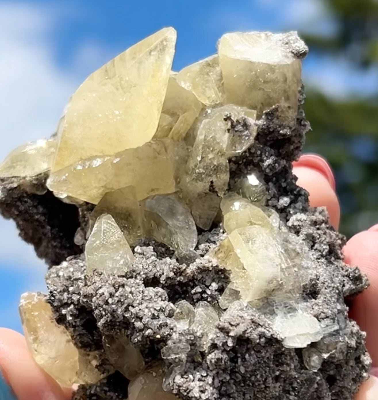 Collectors #11 Sweetwater Yellow Calcite On Marcasite Large From Sweetwater Mine, Reynolds County, Missouri, USA 🇺🇸