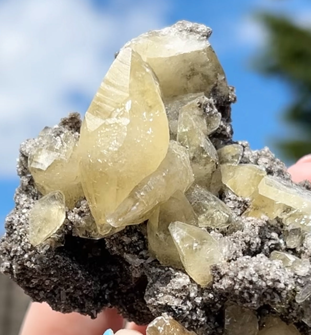 Collectors #11 Sweetwater Yellow Calcite On Marcasite Large From Sweetwater Mine, Reynolds County, Missouri, USA 🇺🇸