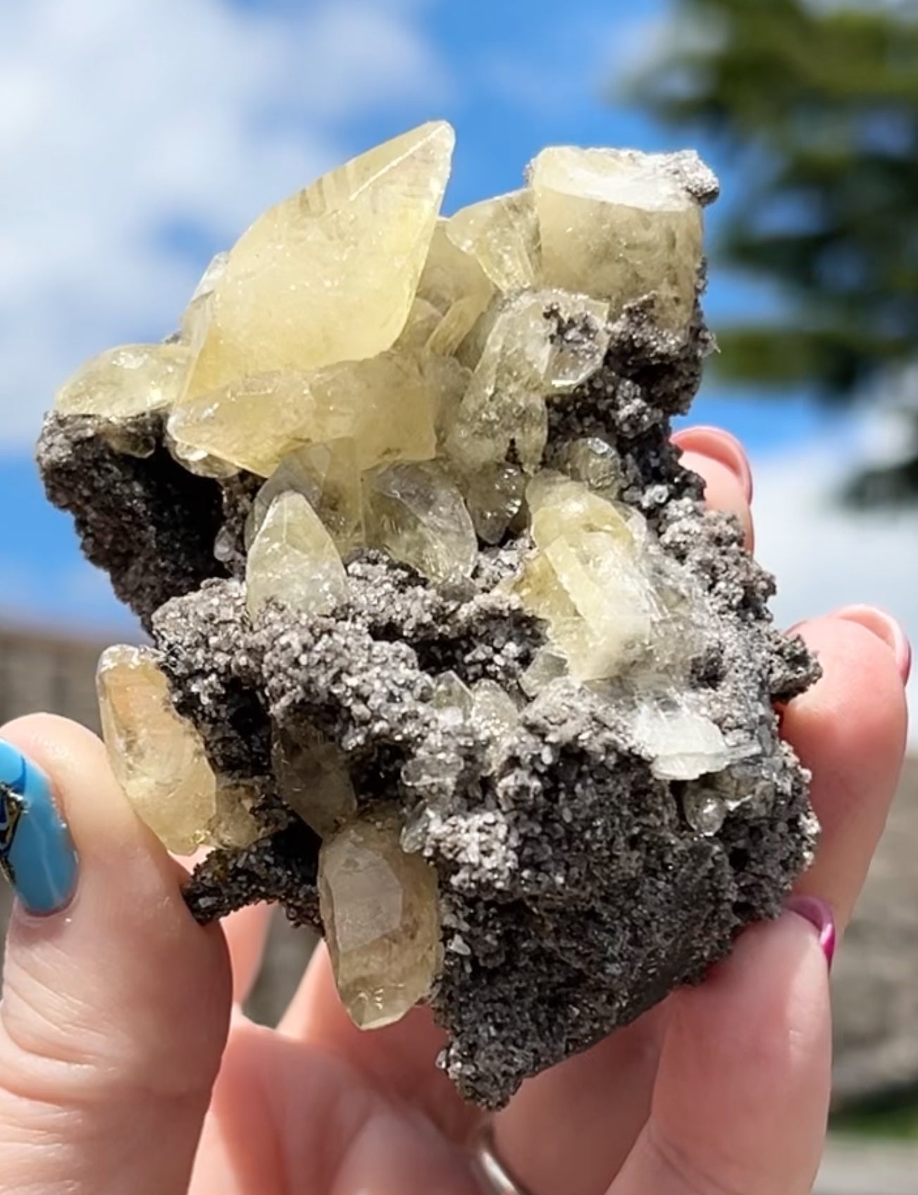 Collectors #11 Sweetwater Yellow Calcite On Marcasite Large From Sweetwater Mine, Reynolds County, Missouri, USA 🇺🇸