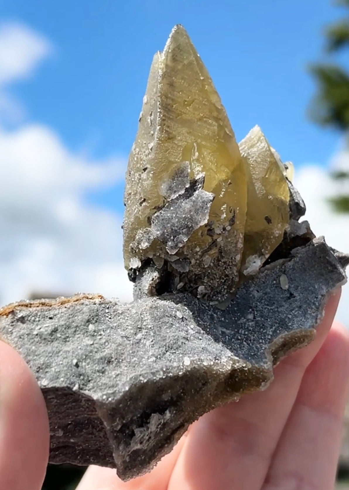 Collectors #9 Sweetwater Double Yellow Calcite On Marcasite & Limonite Large From Sweetwater Mine, Reynolds County, Missouri, USA 🇺🇸