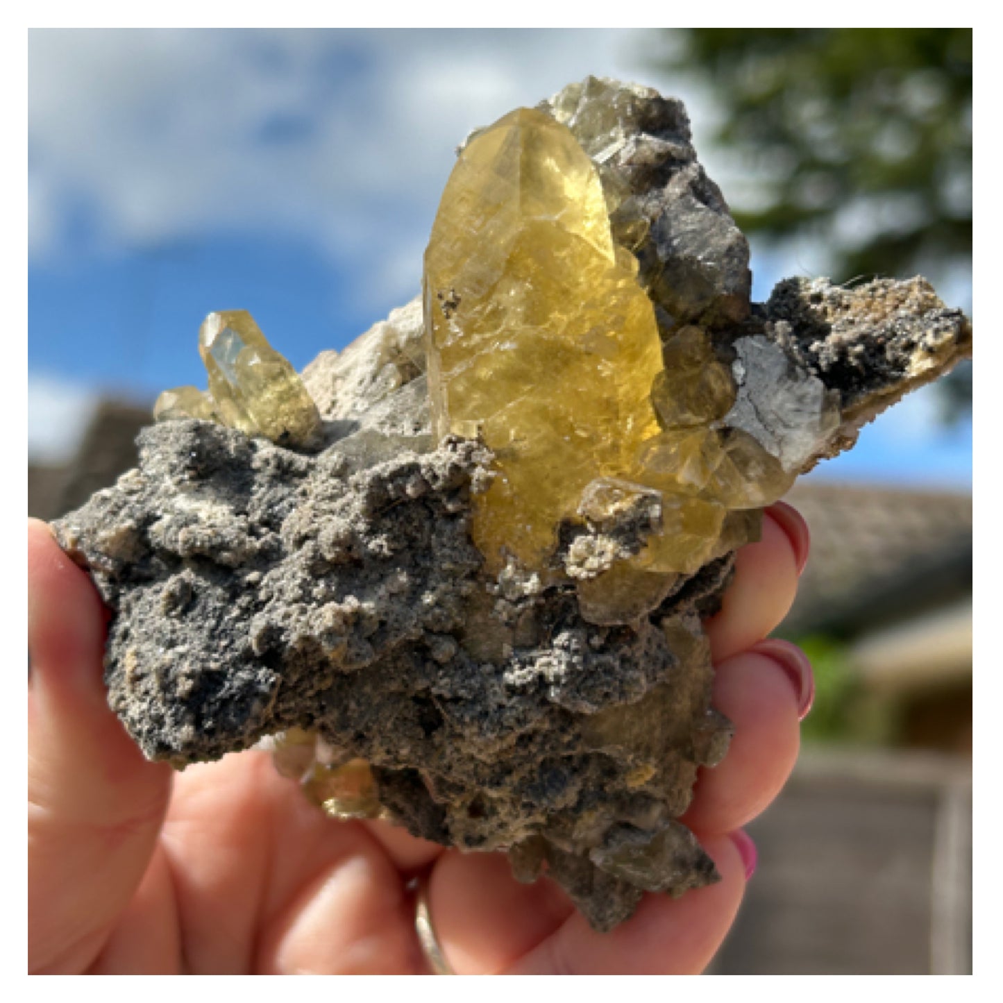 Collectors #12 Fletcher 8 Point Optical Calcite With Marcasite Base Large From Fletcher Mine, Reynolds County, Missouri, USA 🇺🇸