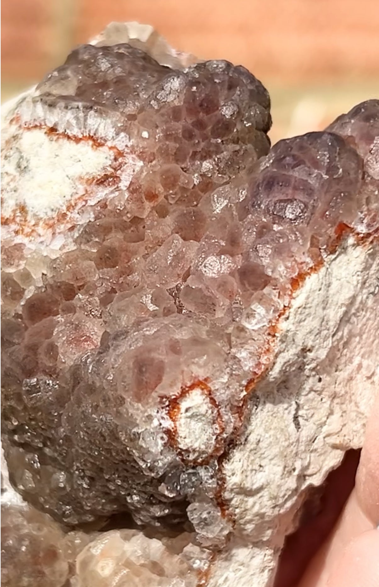 #2 Rare Red & Pink Fluorite Botryoidal With Dogtooth Calcite & Selenite From Navidad Mine, Durango, Mexico 🇲🇽