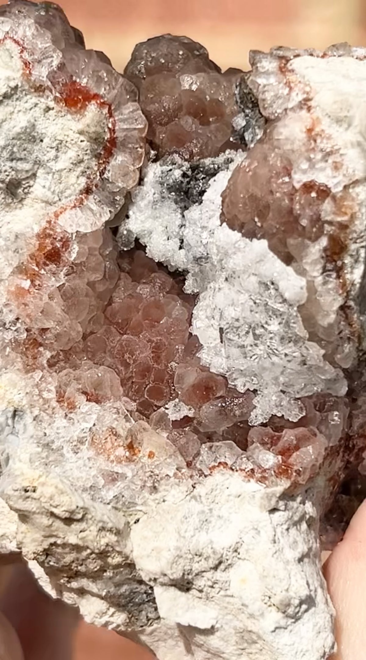 #2 Rare Red & Pink Fluorite Botryoidal With Dogtooth Calcite & Selenite From Navidad Mine, Durango, Mexico 🇲🇽