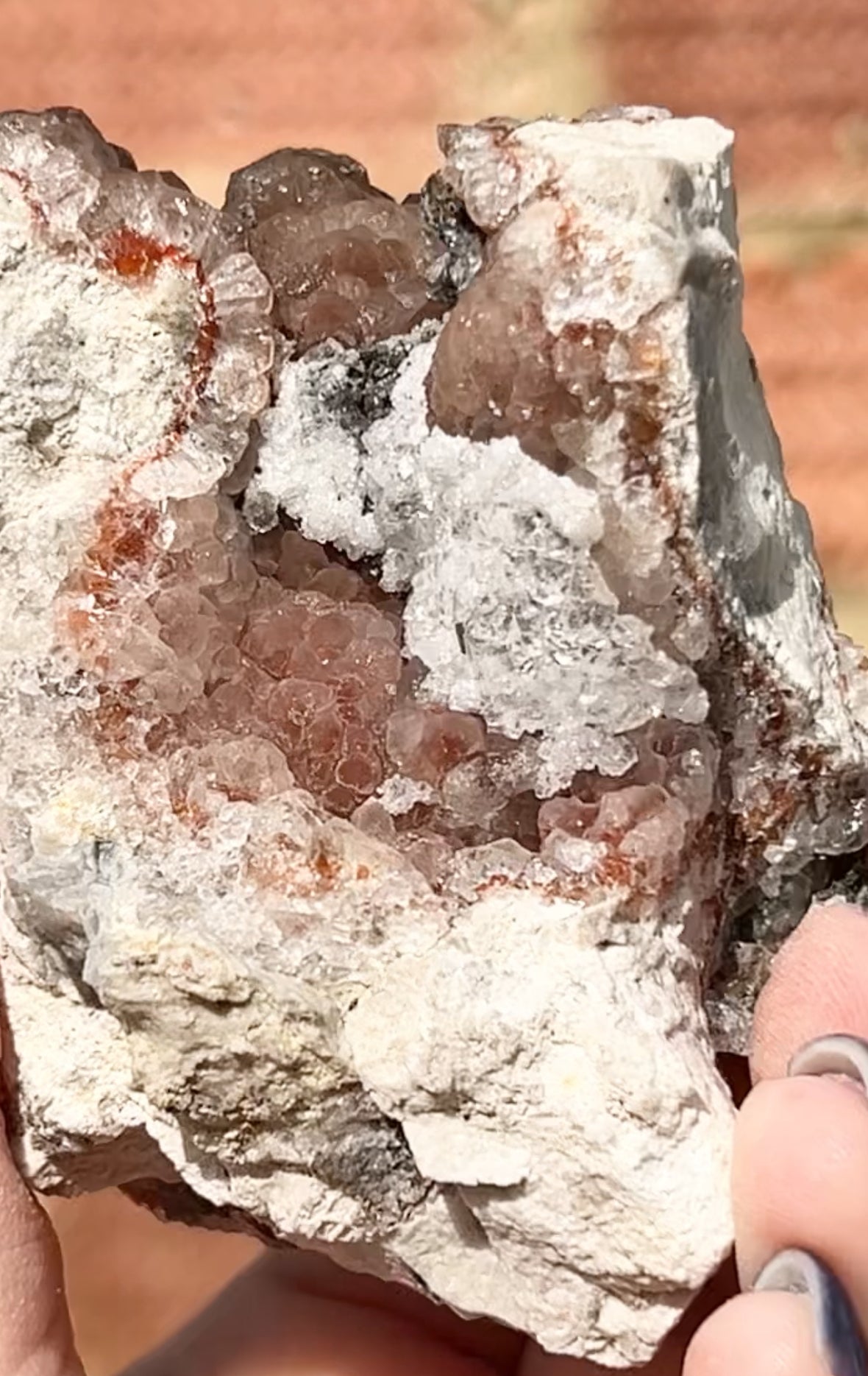 #2 Rare Red & Pink Fluorite Botryoidal With Dogtooth Calcite & Selenite From Navidad Mine, Durango, Mexico 🇲🇽