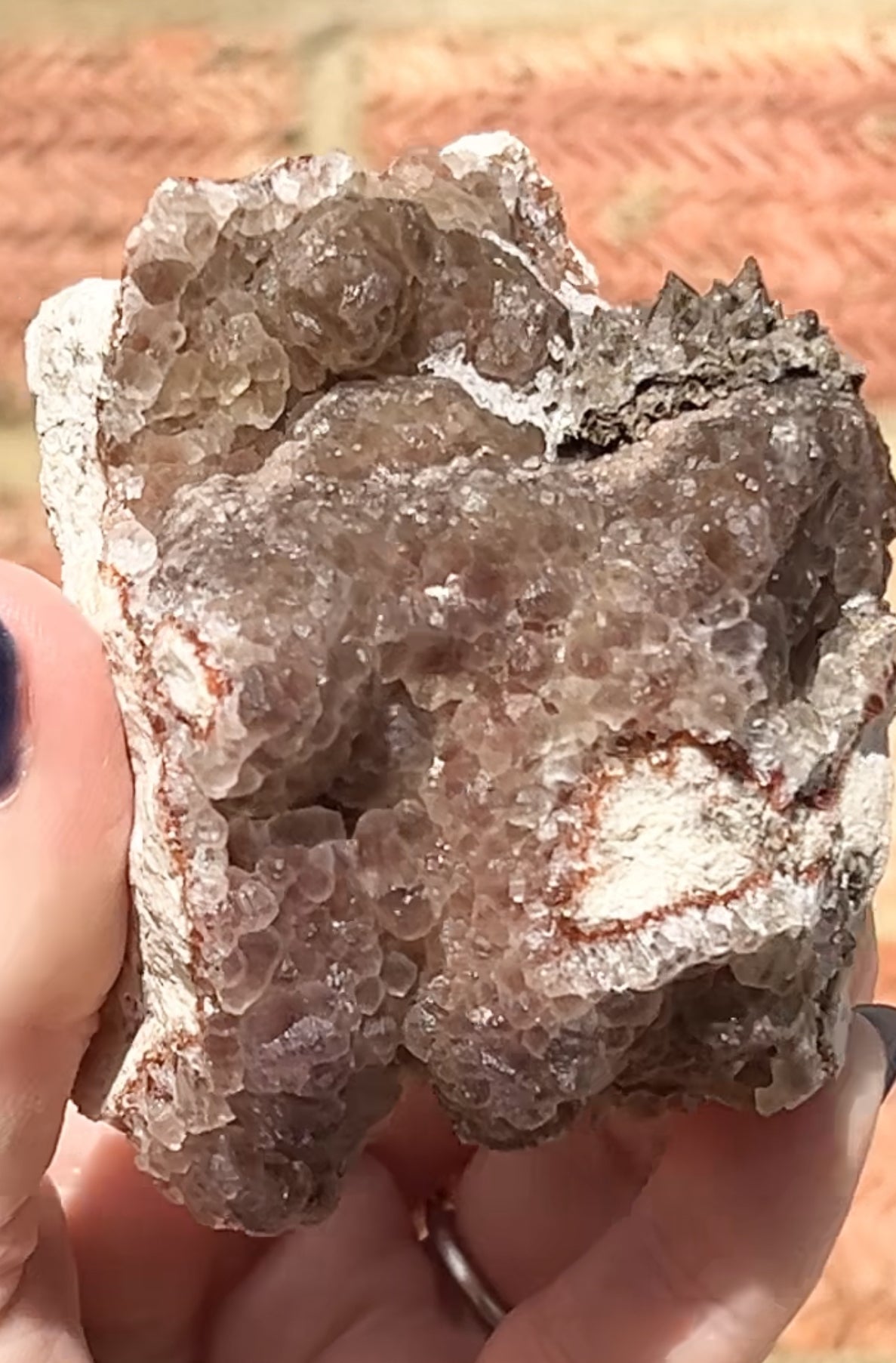 #2 Rare Red & Pink Fluorite Botryoidal With Dogtooth Calcite & Selenite From Navidad Mine, Durango, Mexico 🇲🇽