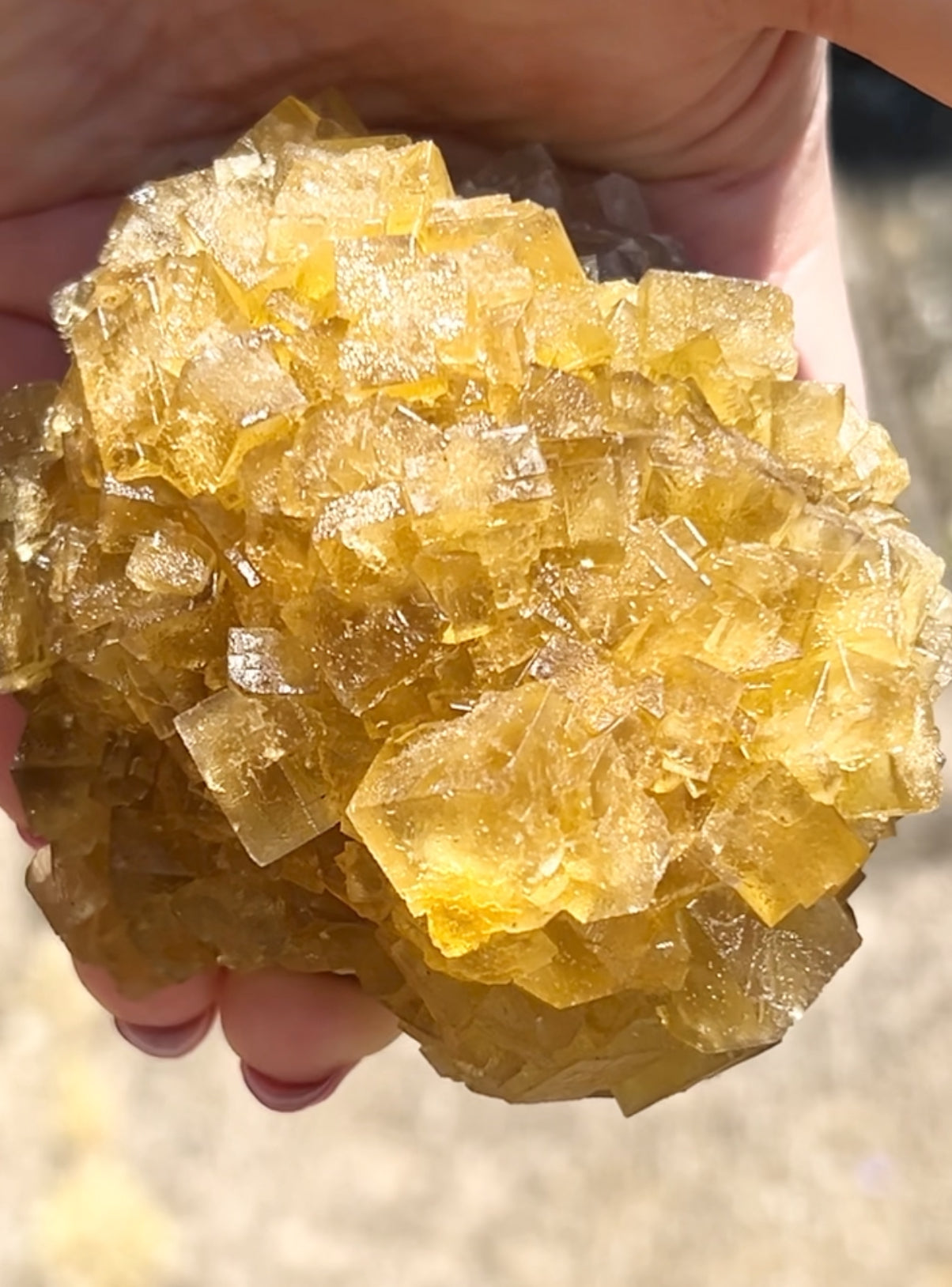 XXL Extremely Rare, One Of A Kind Hilton Golden Yellow Fluorite On Quartz Base From Hilton Mine, Hilton, Scredale, Cumbria, U.K. 🇬🇧 (Closed Mine, Independently Collected In 1990s) Top Quality