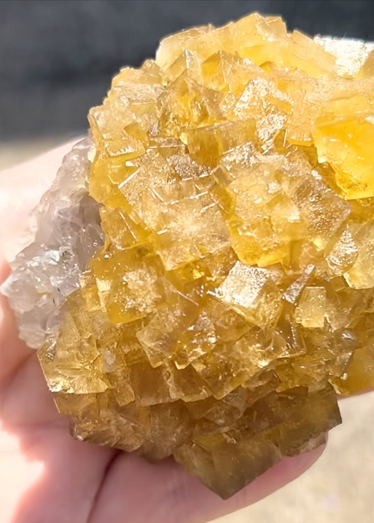 XXL Extremely Rare, One Of A Kind Hilton Golden Yellow Fluorite On Quartz Base From Hilton Mine, Hilton, Scredale, Cumbria, U.K. 🇬🇧 (Closed Mine, Independently Collected In 1990s) Top Quality