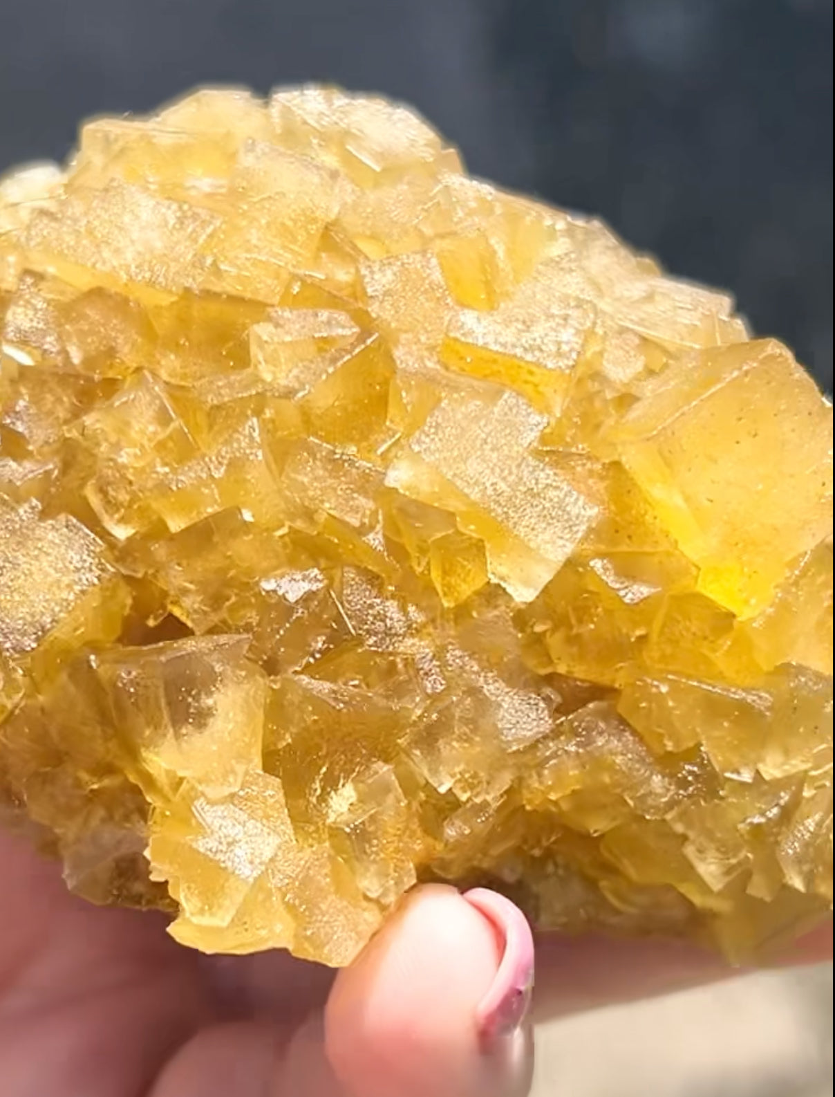 XXL Extremely Rare, One Of A Kind Hilton Golden Yellow Fluorite On Quartz Base From Hilton Mine, Hilton, Scredale, Cumbria, U.K. 🇬🇧 (Closed Mine, Independently Collected In 1990s) Top Quality