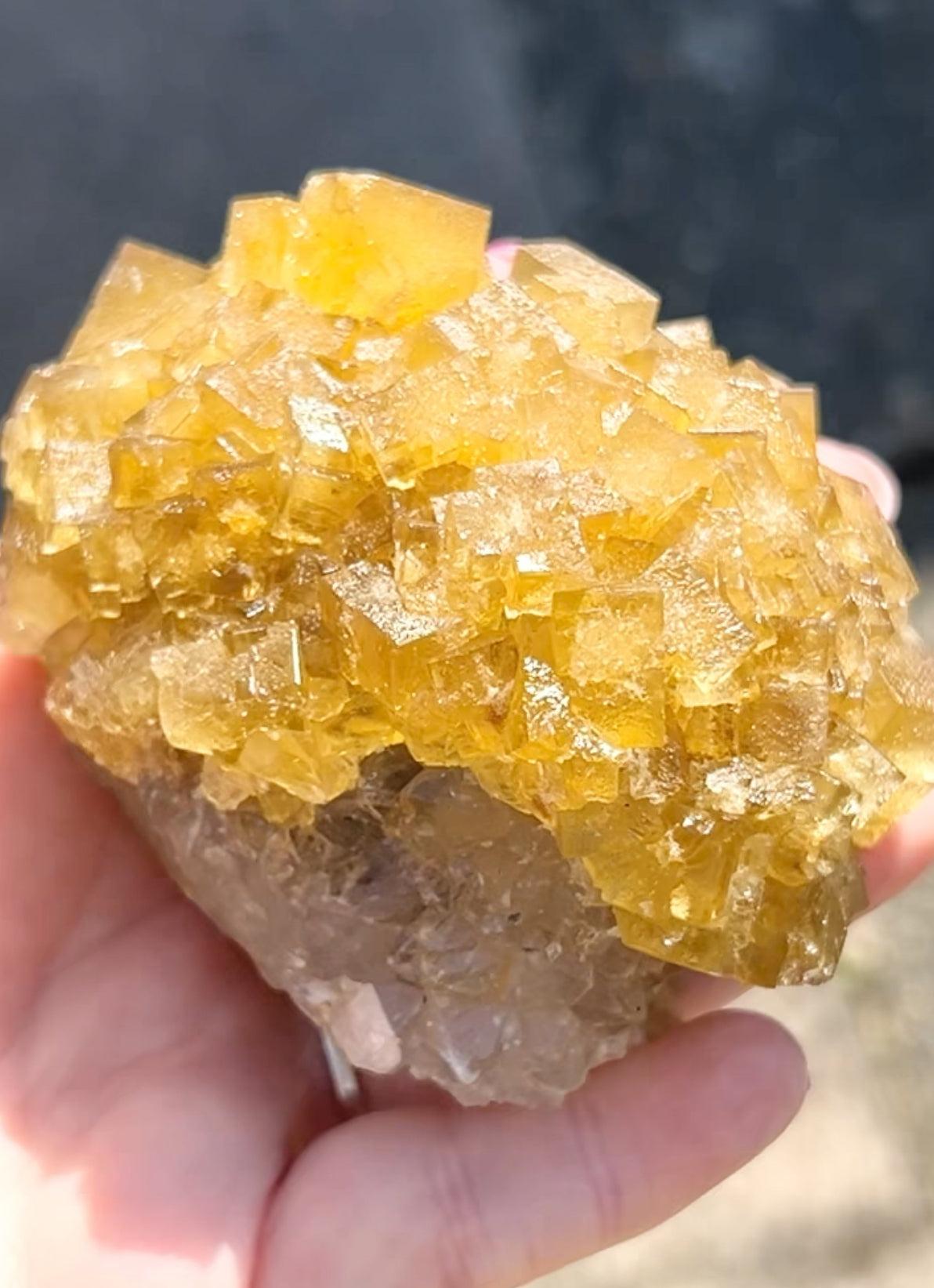 XXL Extremely Rare, One Of A Kind Hilton Golden Yellow Fluorite On Quartz Base From Hilton Mine, Hilton, Scredale, Cumbria, U.K. 🇬🇧 (Closed Mine, Independently Collected In 1990s) Top Quality